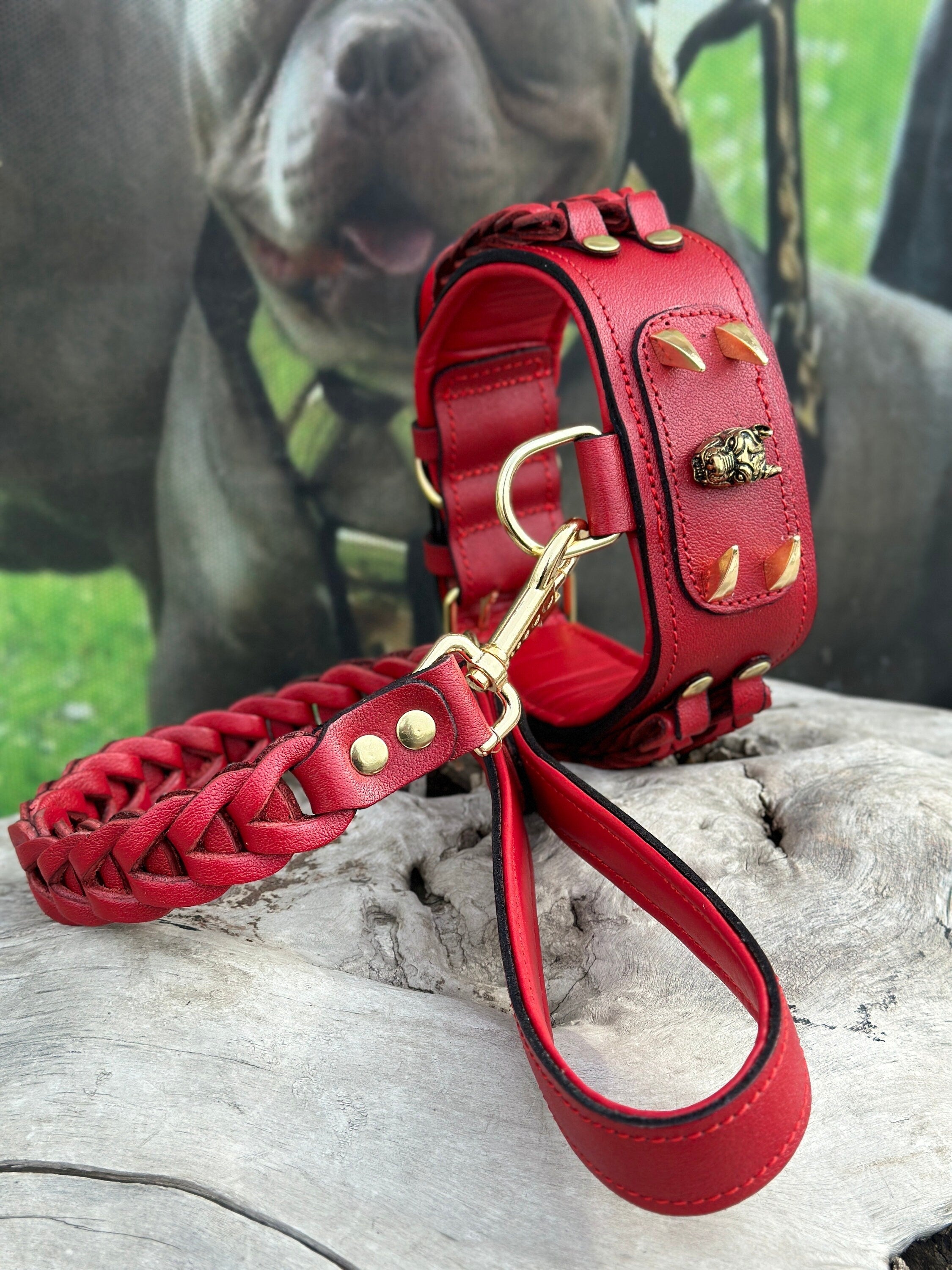 Handmade Buffalo leather dog collar with custom engraved metal name plate, featuring sturdy buckle and leather accents.