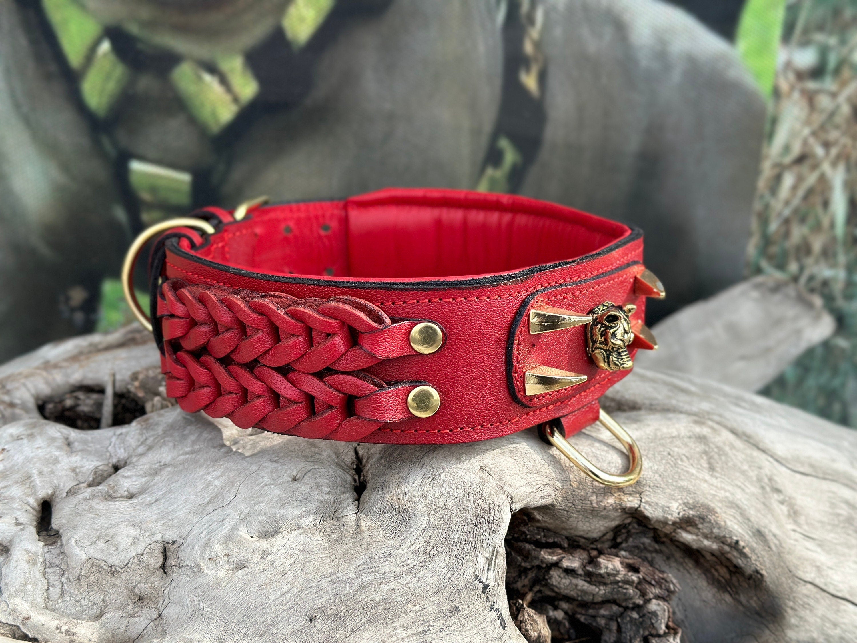 Handmade buffalo leather dog collar with custom engraved name plate, featuring sturdy buckle and stylish design by A&C Dog Collars.