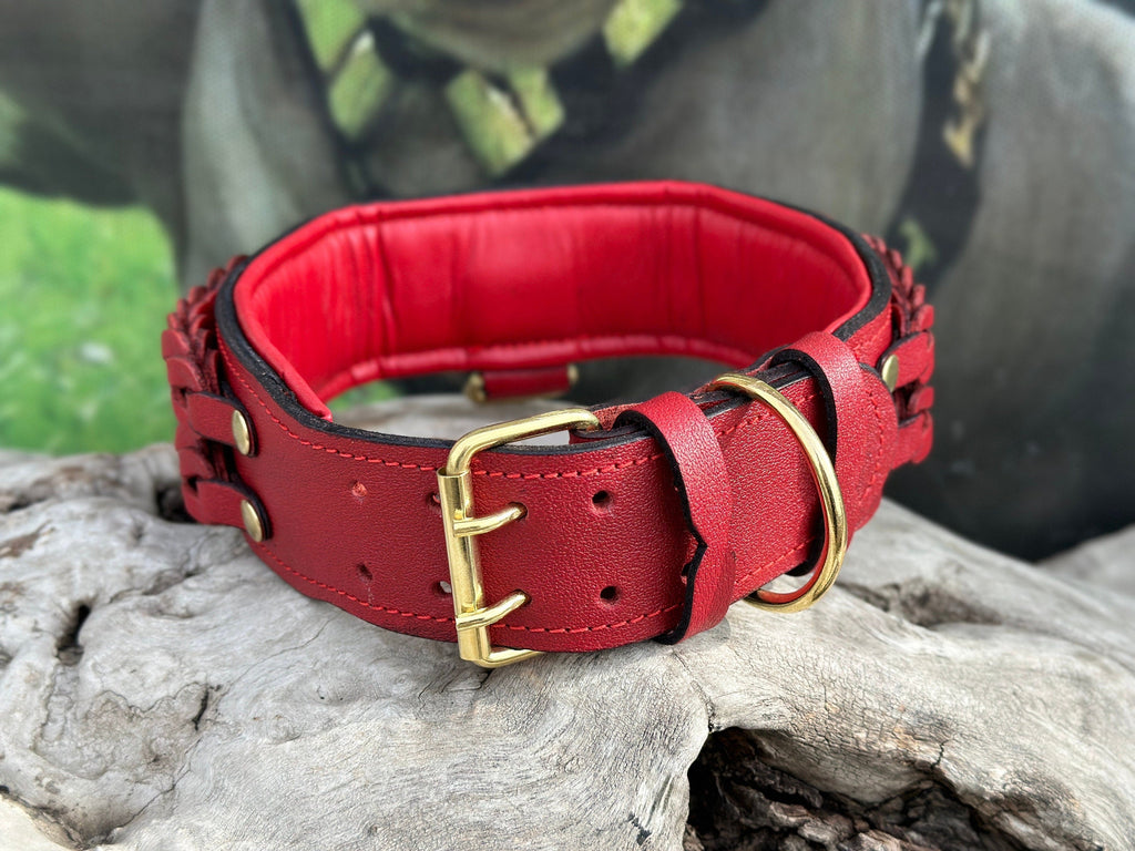 Handmade buffalo leather dog collar with custom engraved name plate and sturdy buckle, stylish and durable for everyday use.