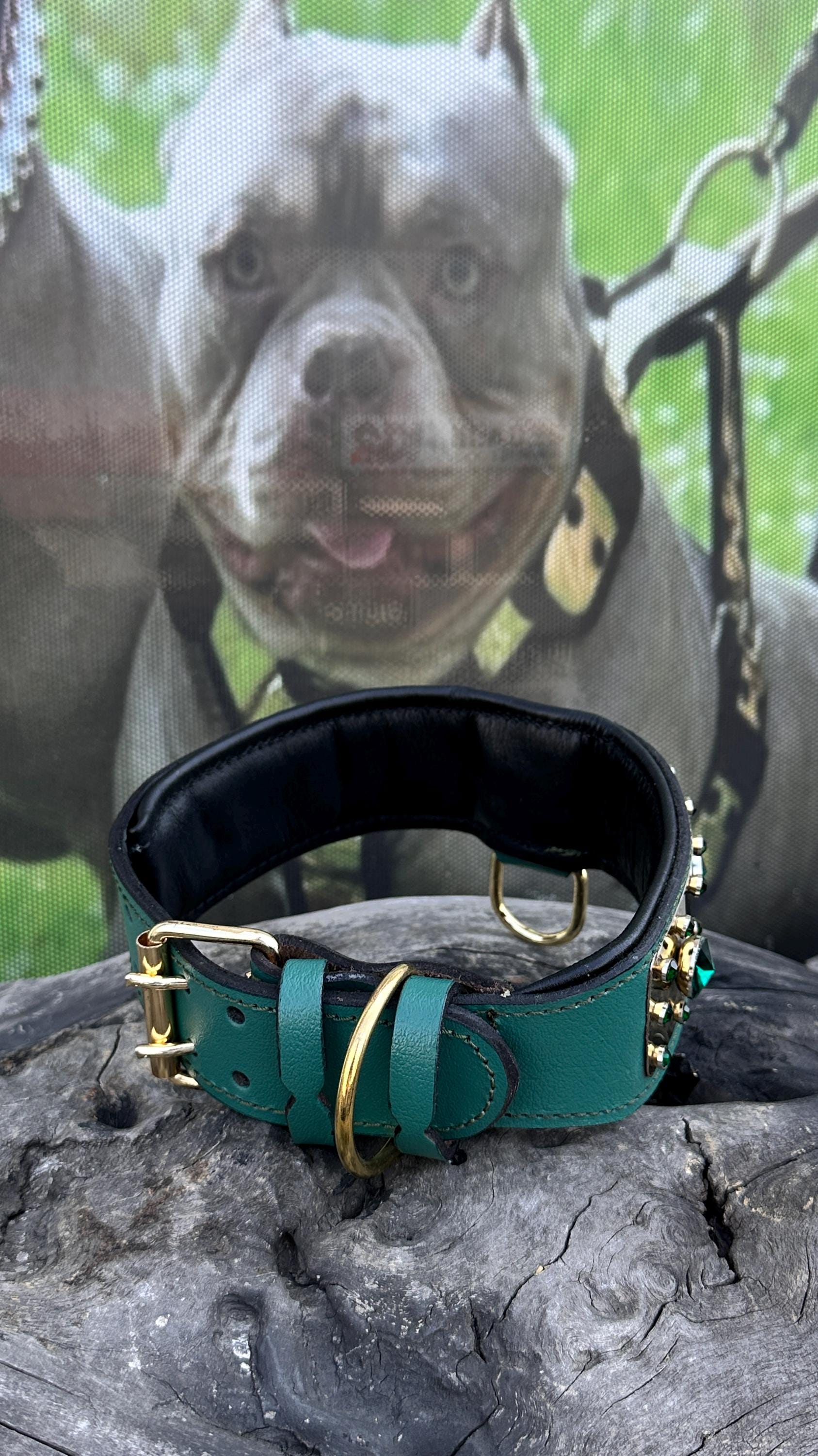 Handmade leather dog collar with personalized engraved name plate by A&C Dog Collars, featuring a sturdy buckle and stylish design.