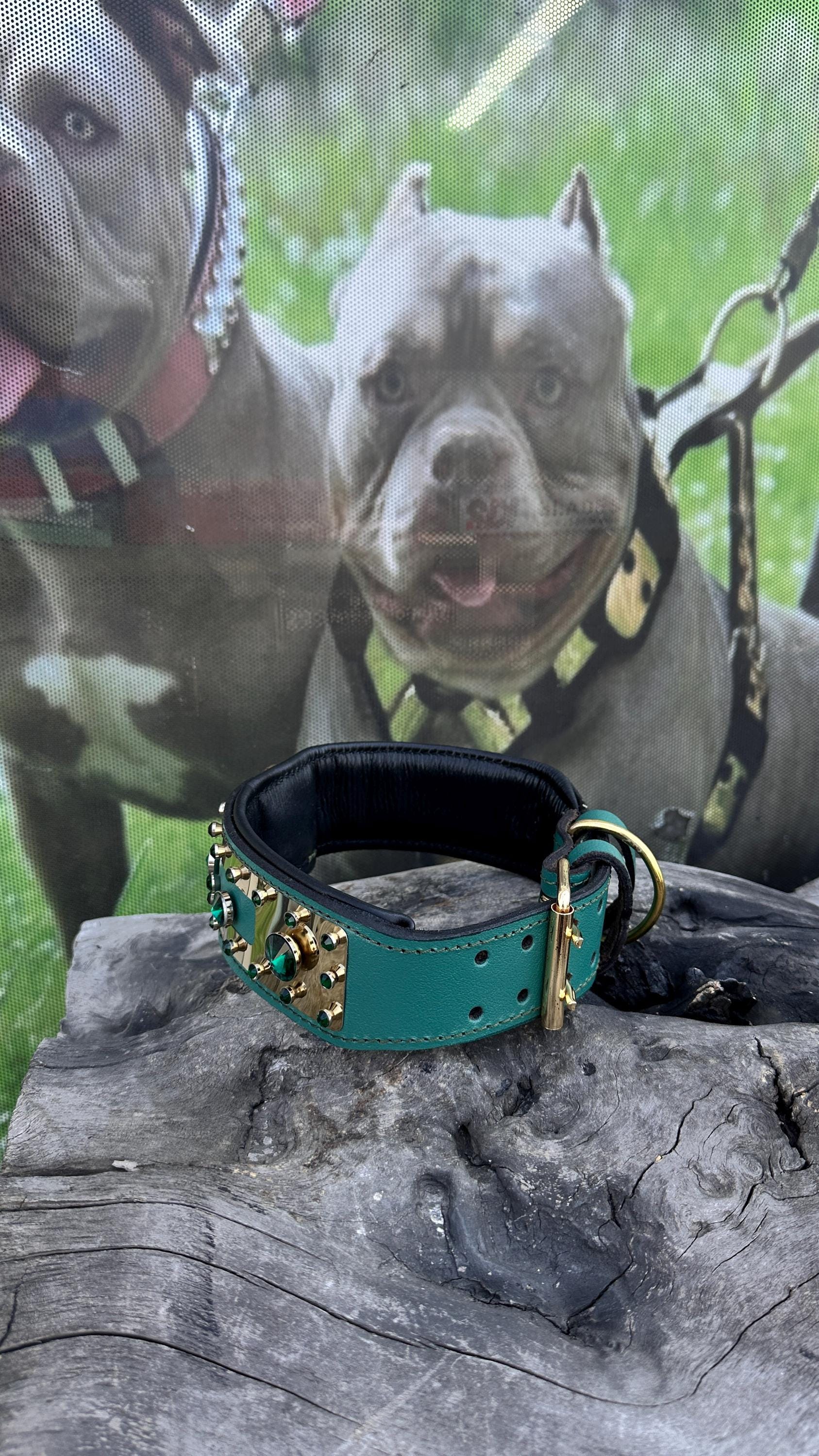 Handmade leather dog collar with personalized engraved name plate, crafted by A&C Dog Collars for stylish pet identification.