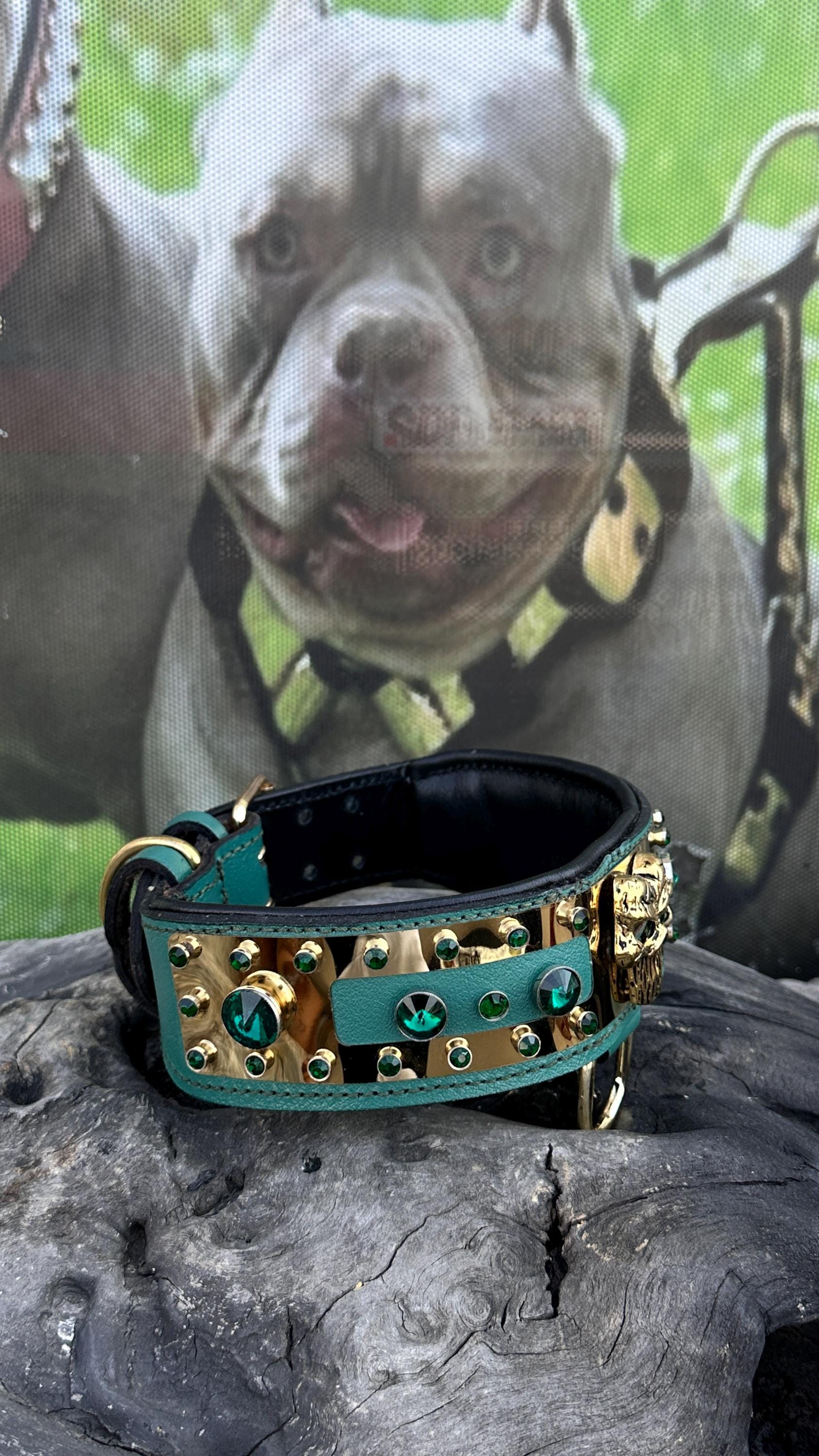 Handmade leather dog collar with personalized engraved name plate from A&C Dog Collars, featuring a close-up of the collar's details.