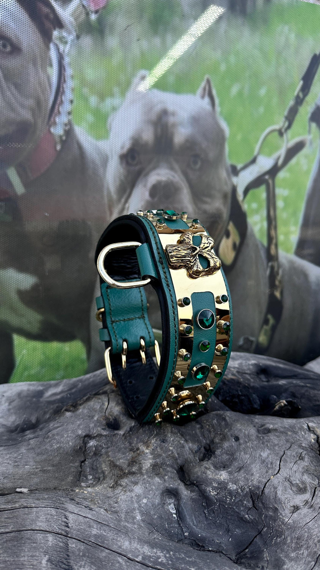 Handmade leather dog collar with engraved personalized name plate, featuring sturdy buckle and stylish design by A&C Dog Collars.