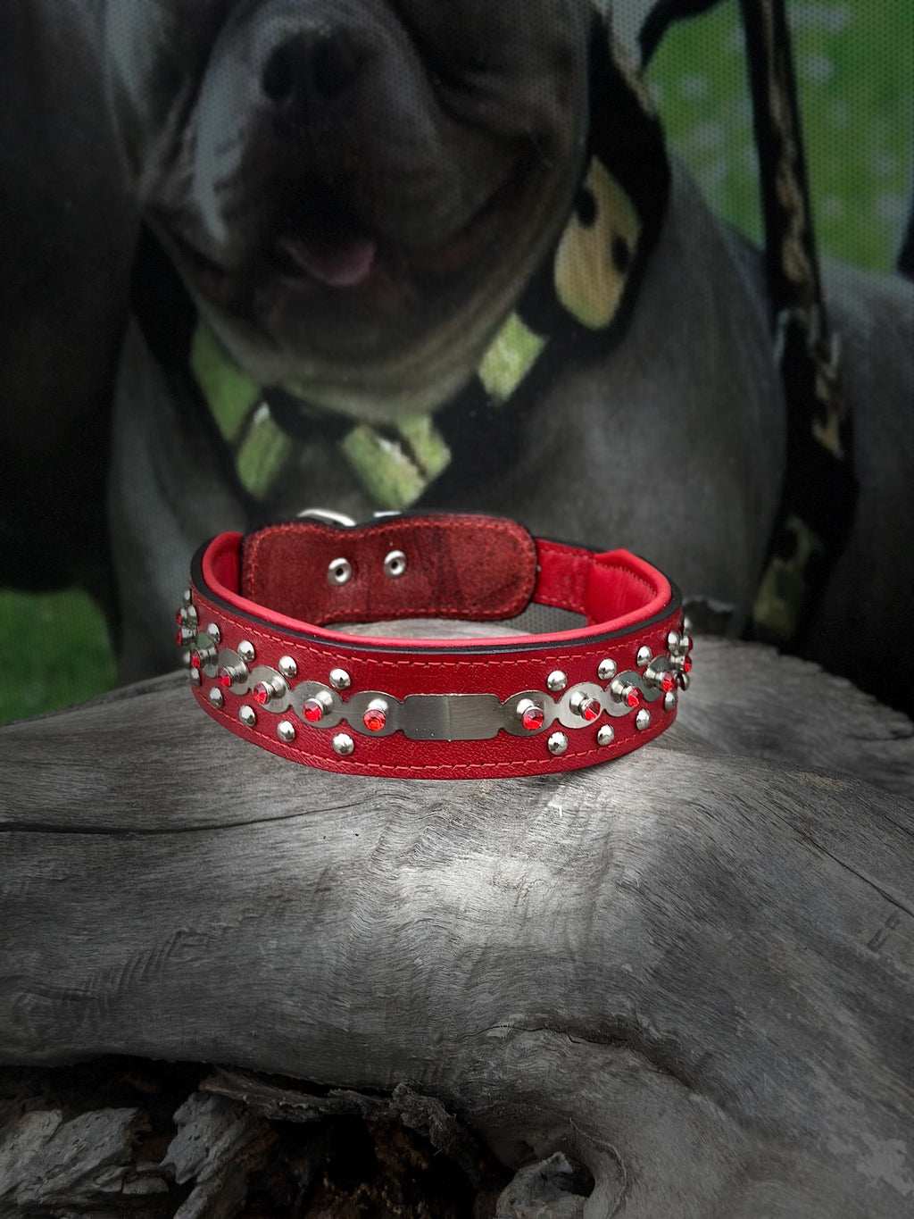 Red leather dog collar by A&C Dog Collars with personalized crystal-engraved name tag and sturdy buckle.