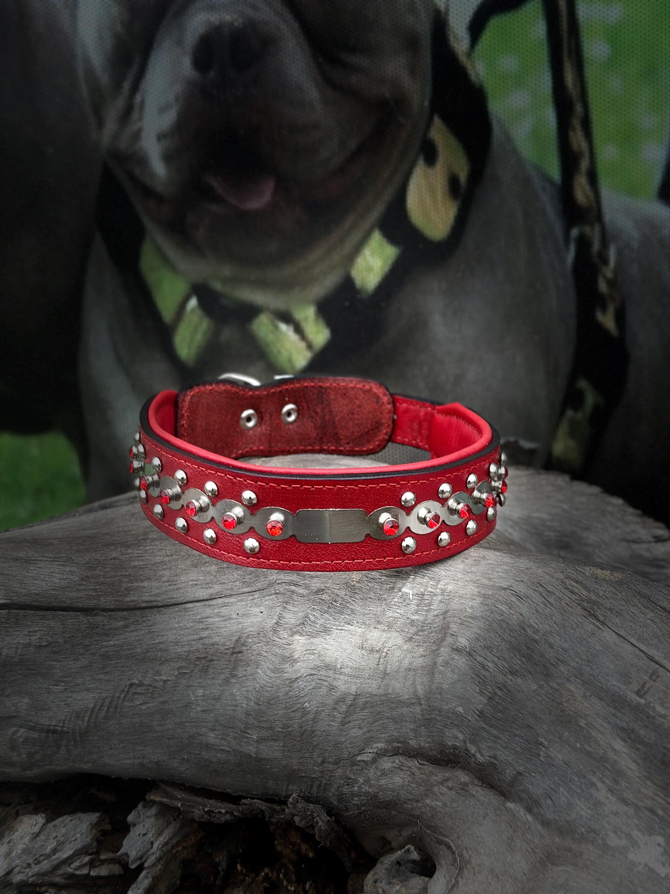 Red leather dog collar by A&C Dog Collars with personalized crystal-engraved name tag and sturdy buckle.