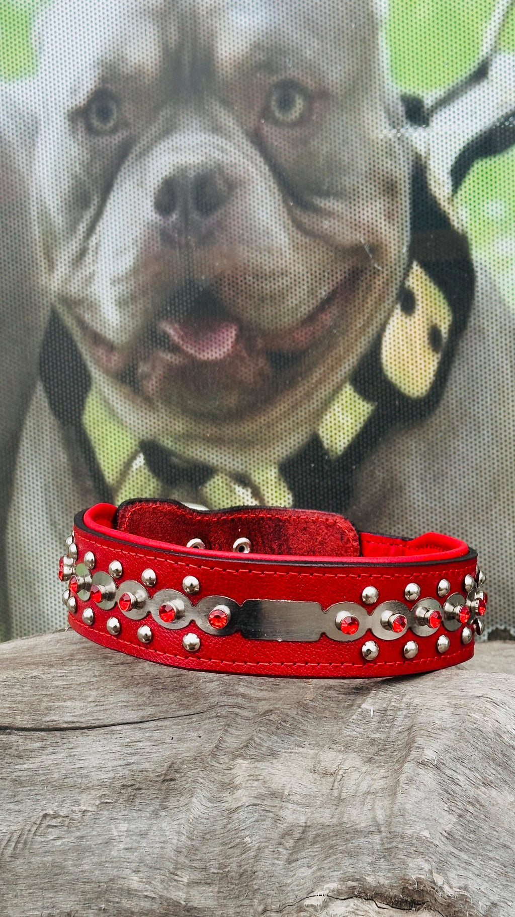 Luxury red leather dog collar by A&C Dog Collars with personalized crystal-engraved name tag and adjustable buckle.