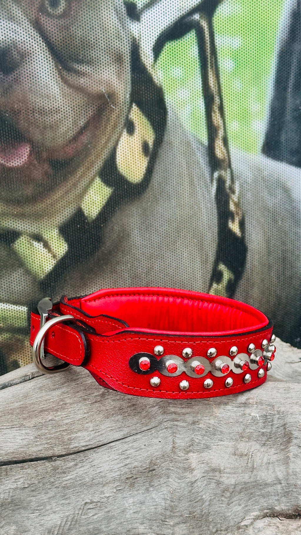Luxury red leather dog collar by A&C Dog Collars with personalized crystal-engraved name tag and sturdy buckle.