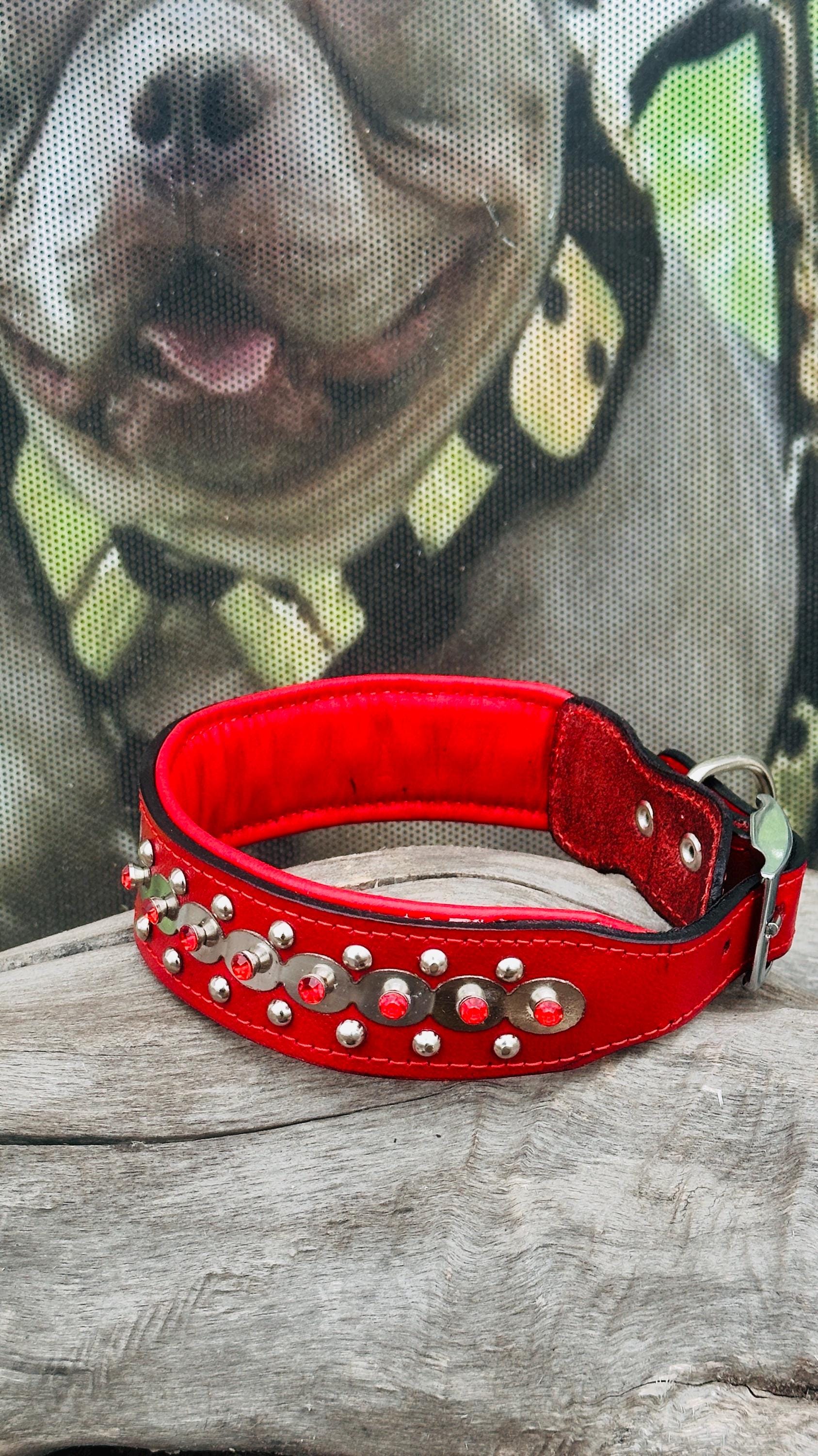 Luxury red leather dog collar with personalized crystal-engraved name tag from A&C Dog Collars, featuring a stylish and durable design.