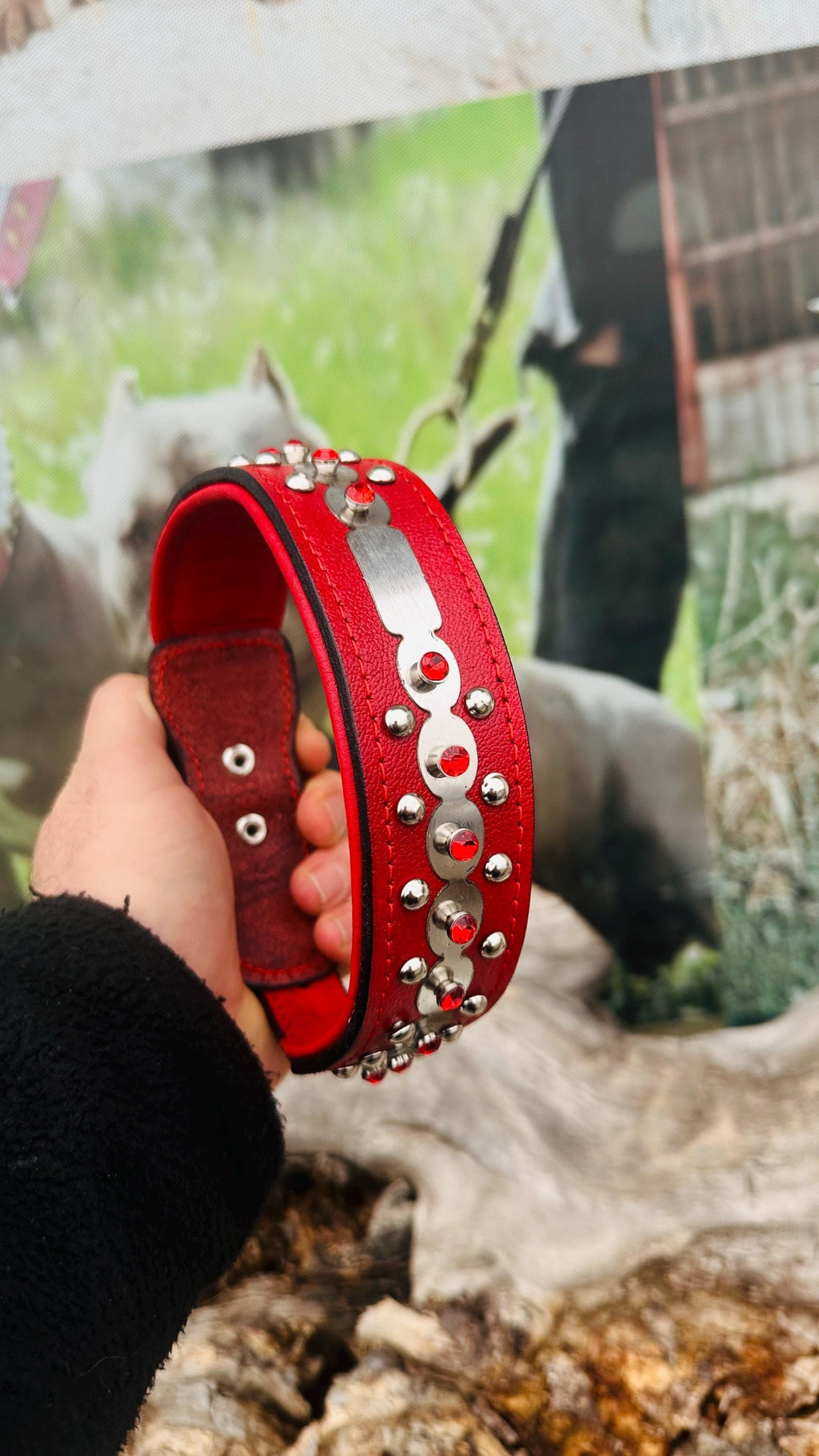 Luxury red leather dog collar from A&C Dog Collars with personalized crystal-engraved name tag and adjustable fit.