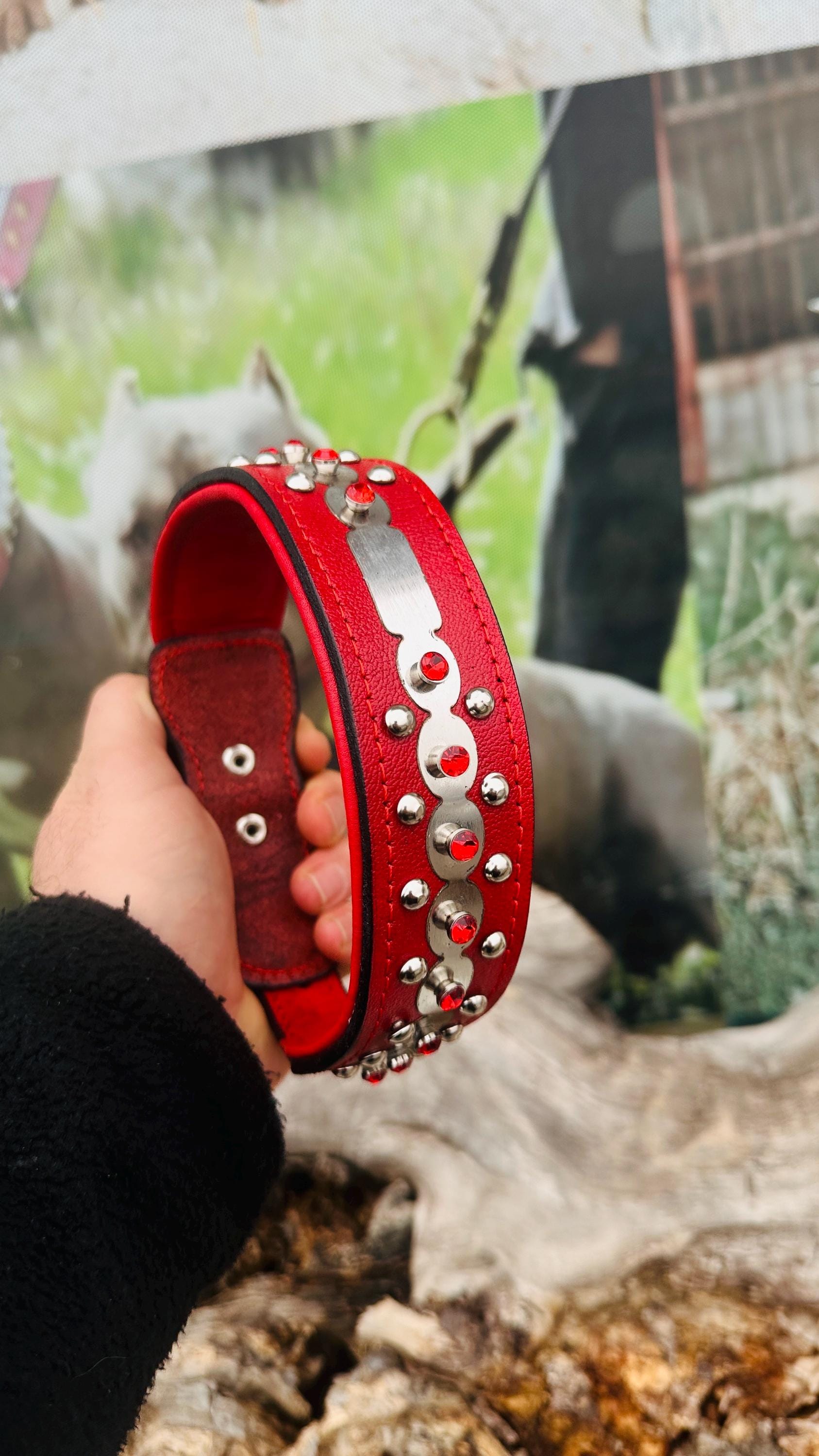 Luxury red leather dog collar from A&C Dog Collars with personalized crystal-engraved name tag and adjustable fit.