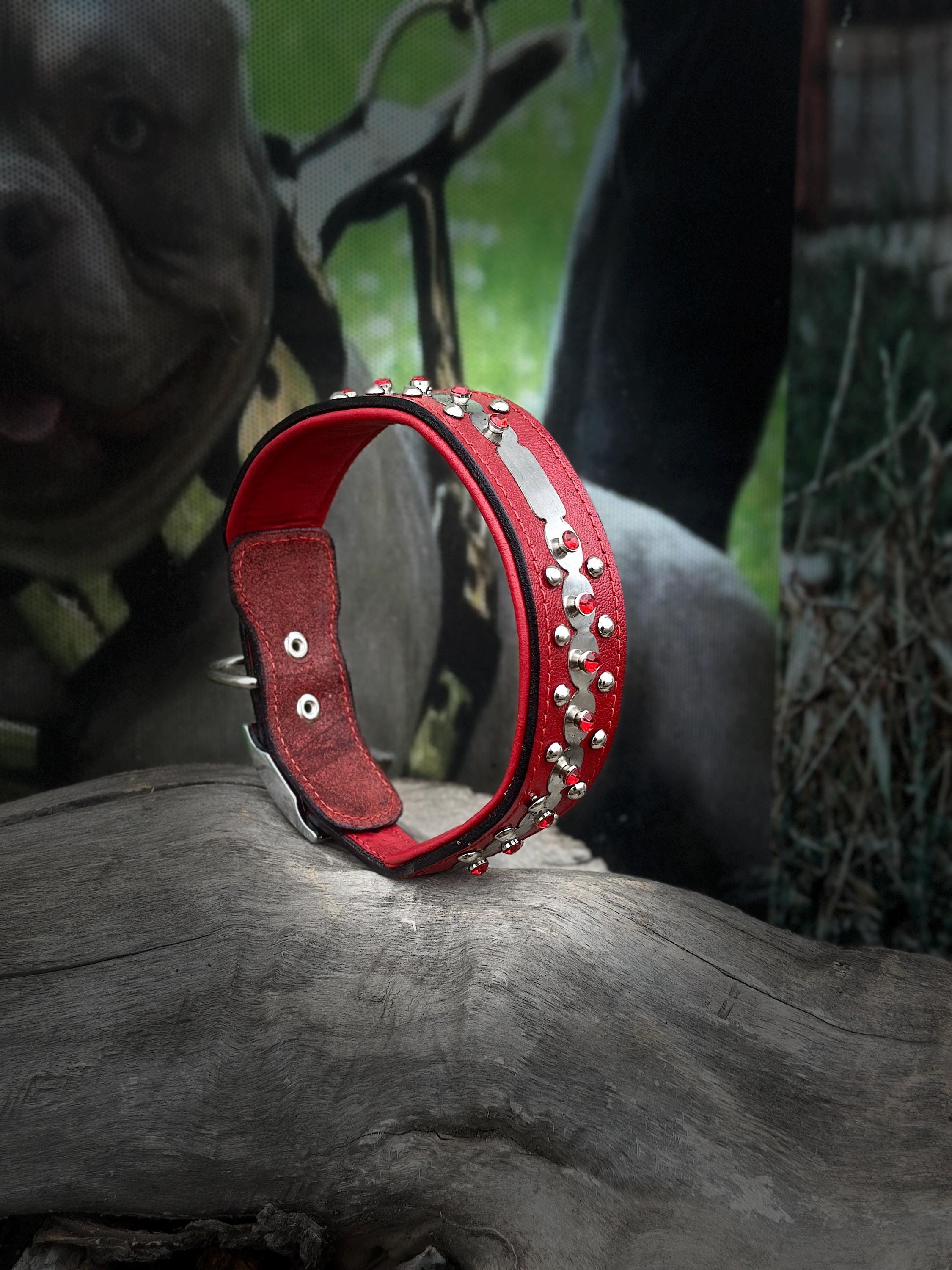 Luxury red leather dog collar by A&C Dog Collars with personalized crystal-engraved name tag on a dog model.