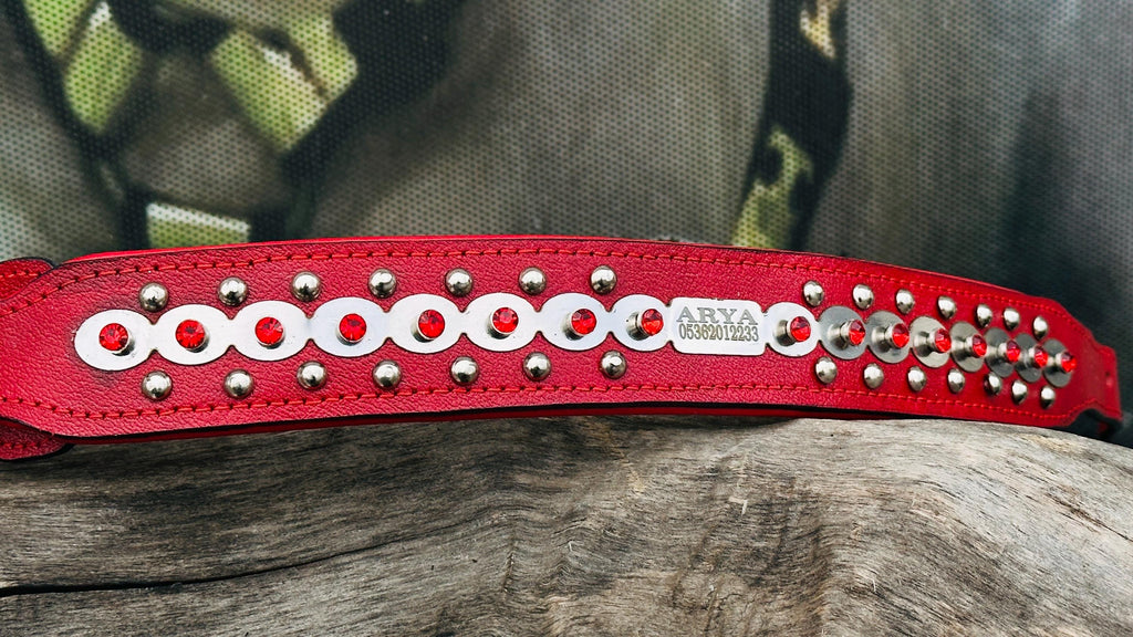 Luxury red leather dog collar by A&C Dog Collars with personalized crystal-engraved name tag and adjustable buckle.