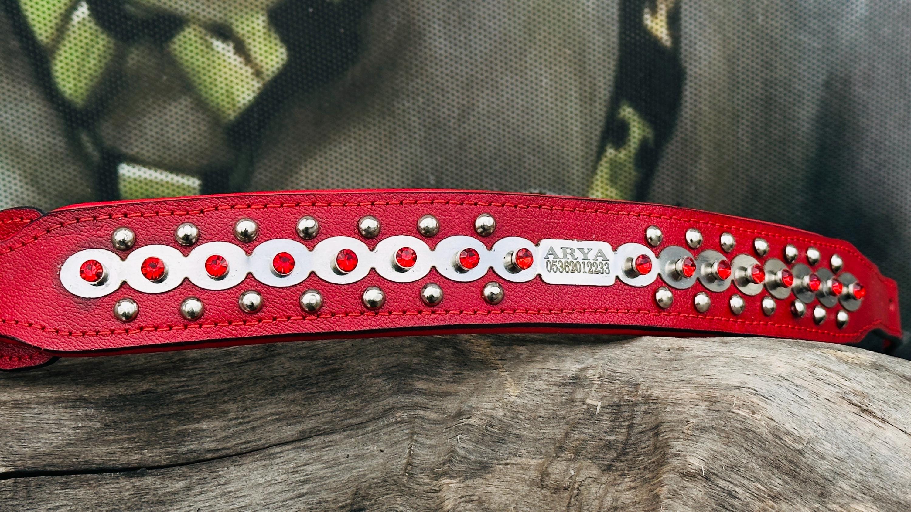 Luxury red leather dog collar by A&C Dog Collars with personalized crystal-engraved name tag and adjustable buckle.