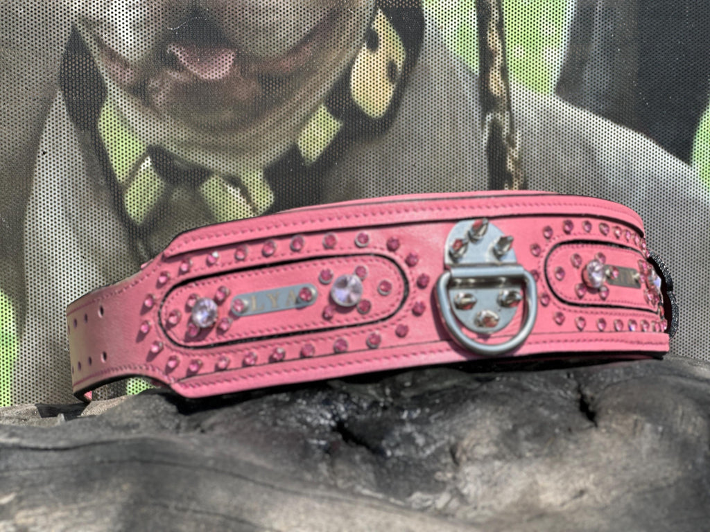 Handmade pink leather dog collar and leash set with crystal studs and customizable name tag from A&C Dog Collars.