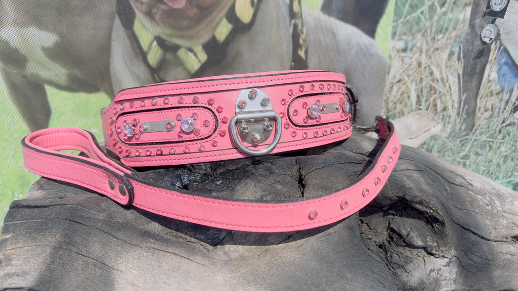 Pink leather dog collar and leash set with crystal studs and custom name tag, from A&C Dog Collars.