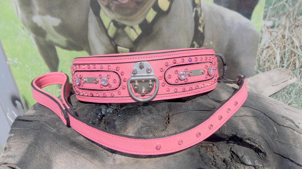 Handmade pink leather dog collar and leash set with crystal studs and customizable name tag from A&C Dog Collars.