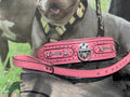 Handmade pink leather dog collar and leash set with crystal studs, featuring a custom name engraving, by A&C Dog Collars.