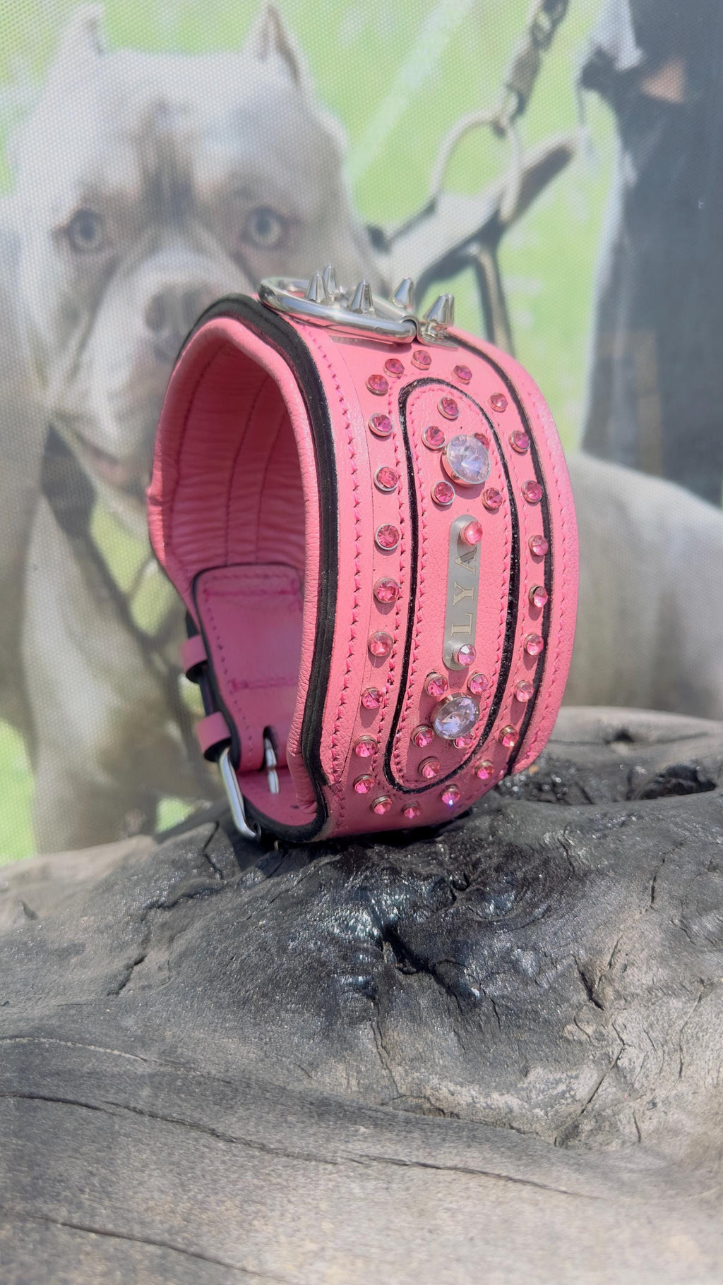 Handmade pink leather dog collar and leash set with crystal studs and custom name tag by A&C Dog Collars.