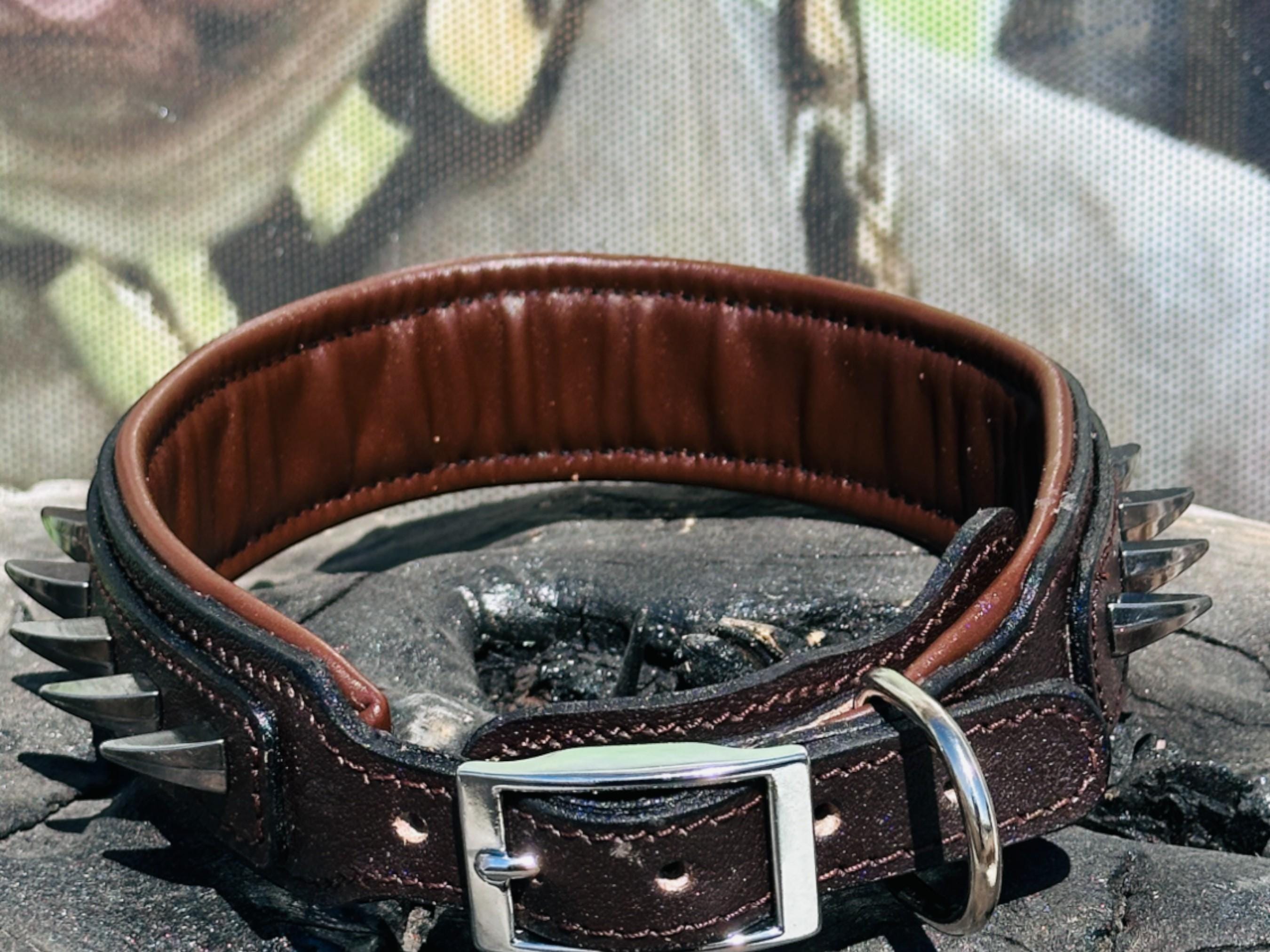 Handmade brown leather dog collar with spikes and lion head emblem from A&C Dog Collars, showing close-up of the detailed design.