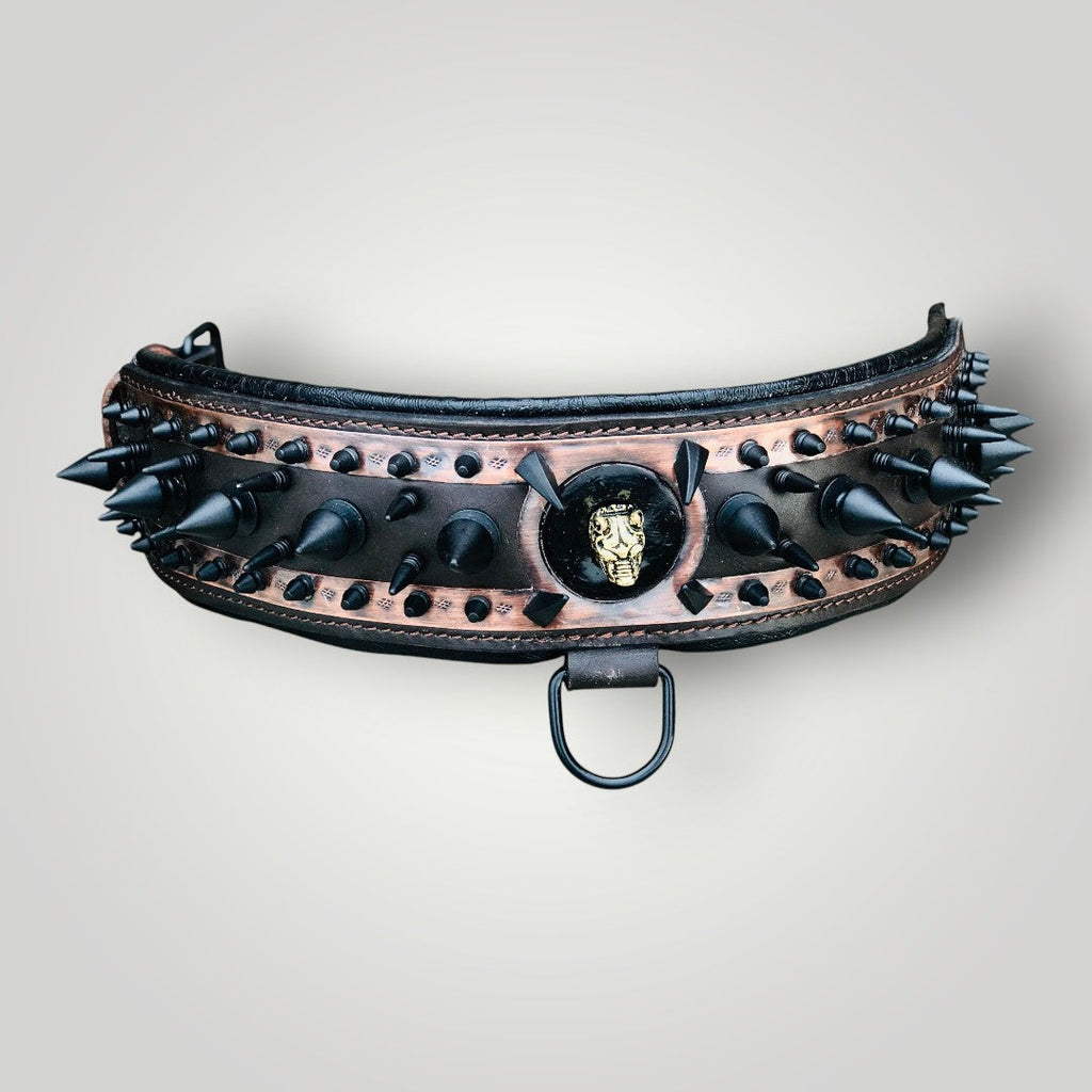 A black leather dog collar with metal spike accents, styled for a bold, edgy look by A&C Dog Collars on a neutral background.