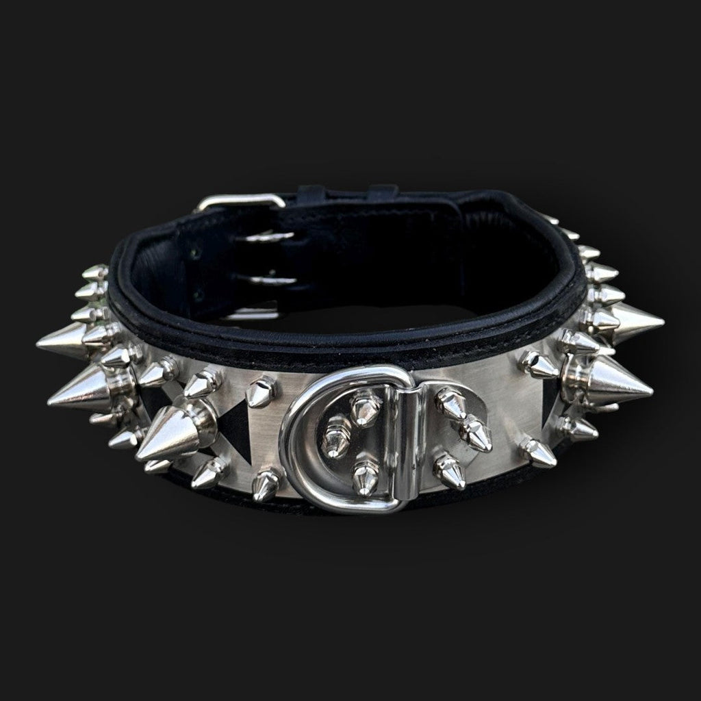 Handmade spiked leather dog collar with custom engraved name plate from A&C Dog Collars, featuring metal spikes and sturdy leather strap.