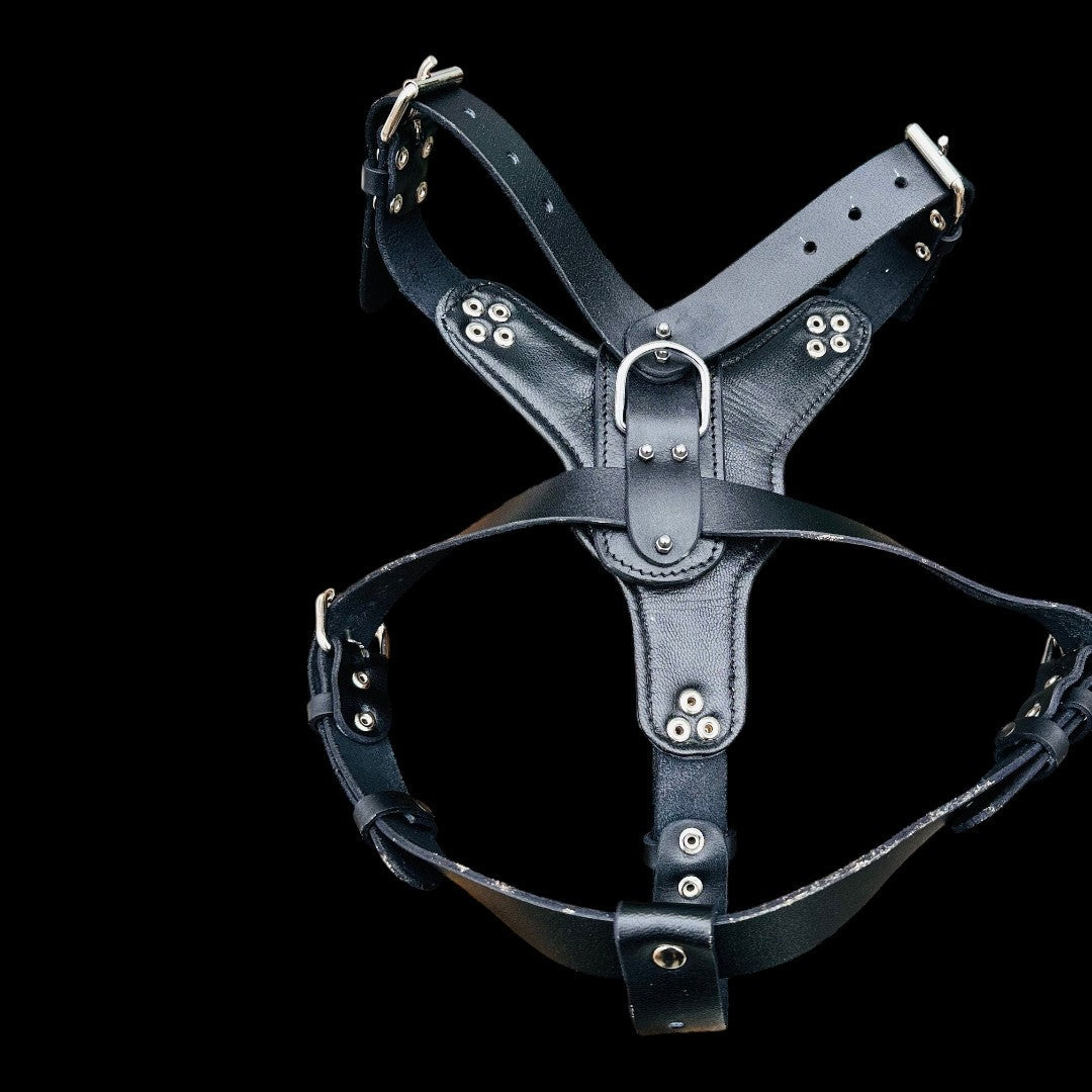 Handmade buffalo leather dog collar from A&C Dog Collars with personalized engraving, showing detailed craftsmanship and adjustable fit.