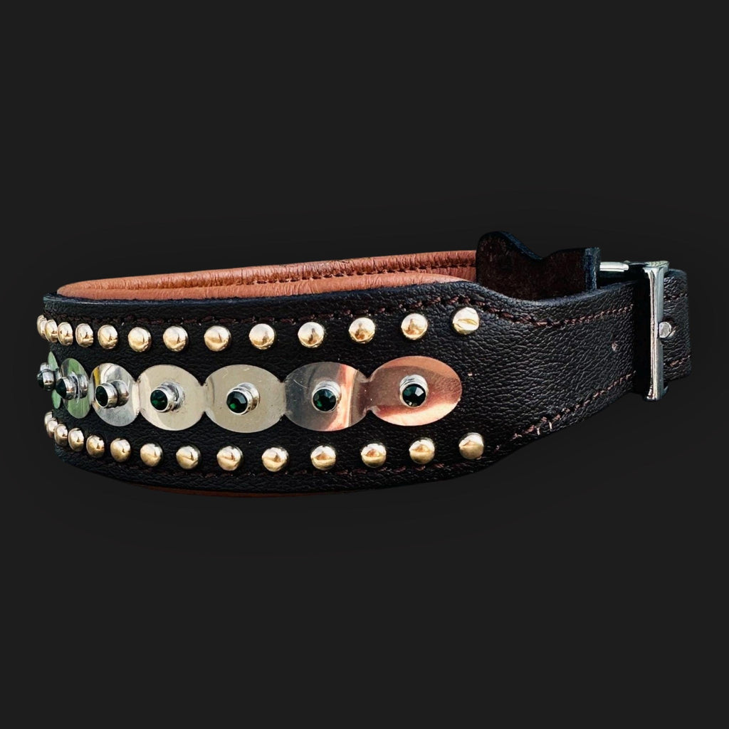 Handmade laser engraved leather dog collar for large breeds, strong and durable, from A&C Dog Collars.