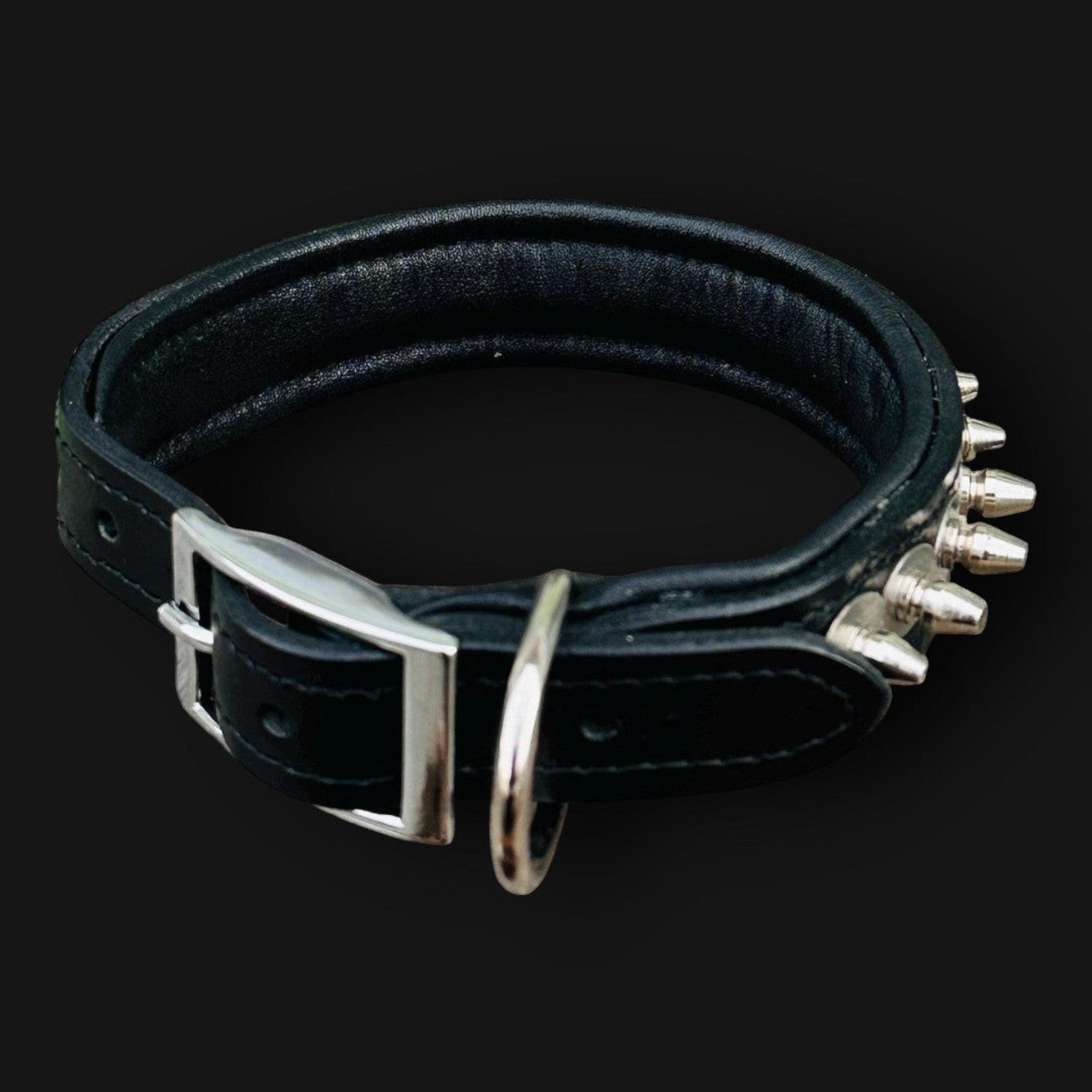 Custom leather dog collar by A&C Dog Collars, engraved and handmade, featuring personalized details and durable leather material.