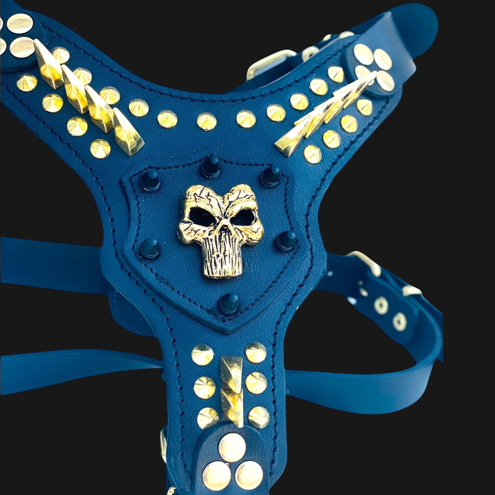 Handmade leather dog harness with custom engraved skull collar, featuring detailed leather craftsmanship and adjustable fit.