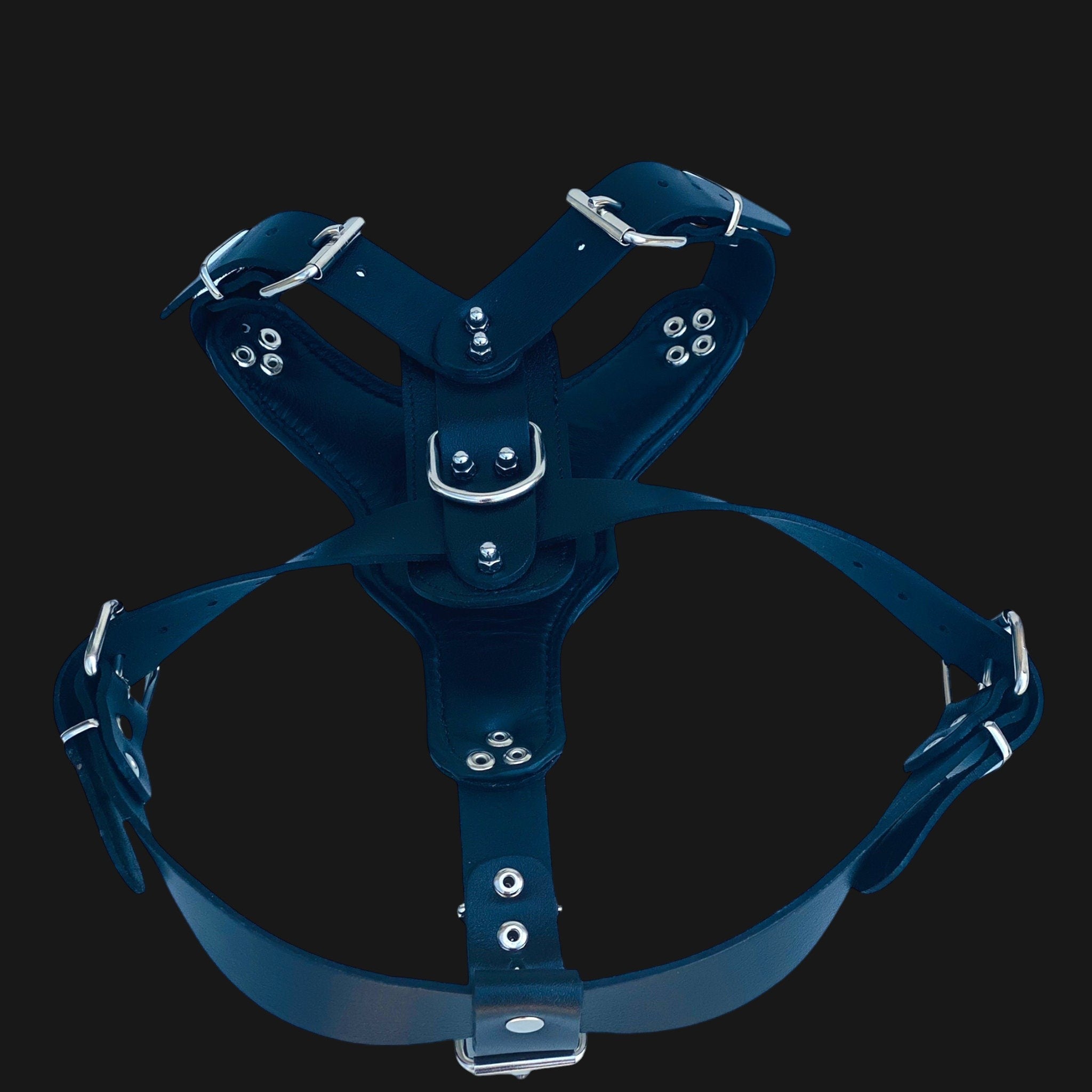 Handmade leather dog harness with custom engraved skull collar from A&C Dog Collars, featuring detailed leather craftsmanship and skull ornament.
