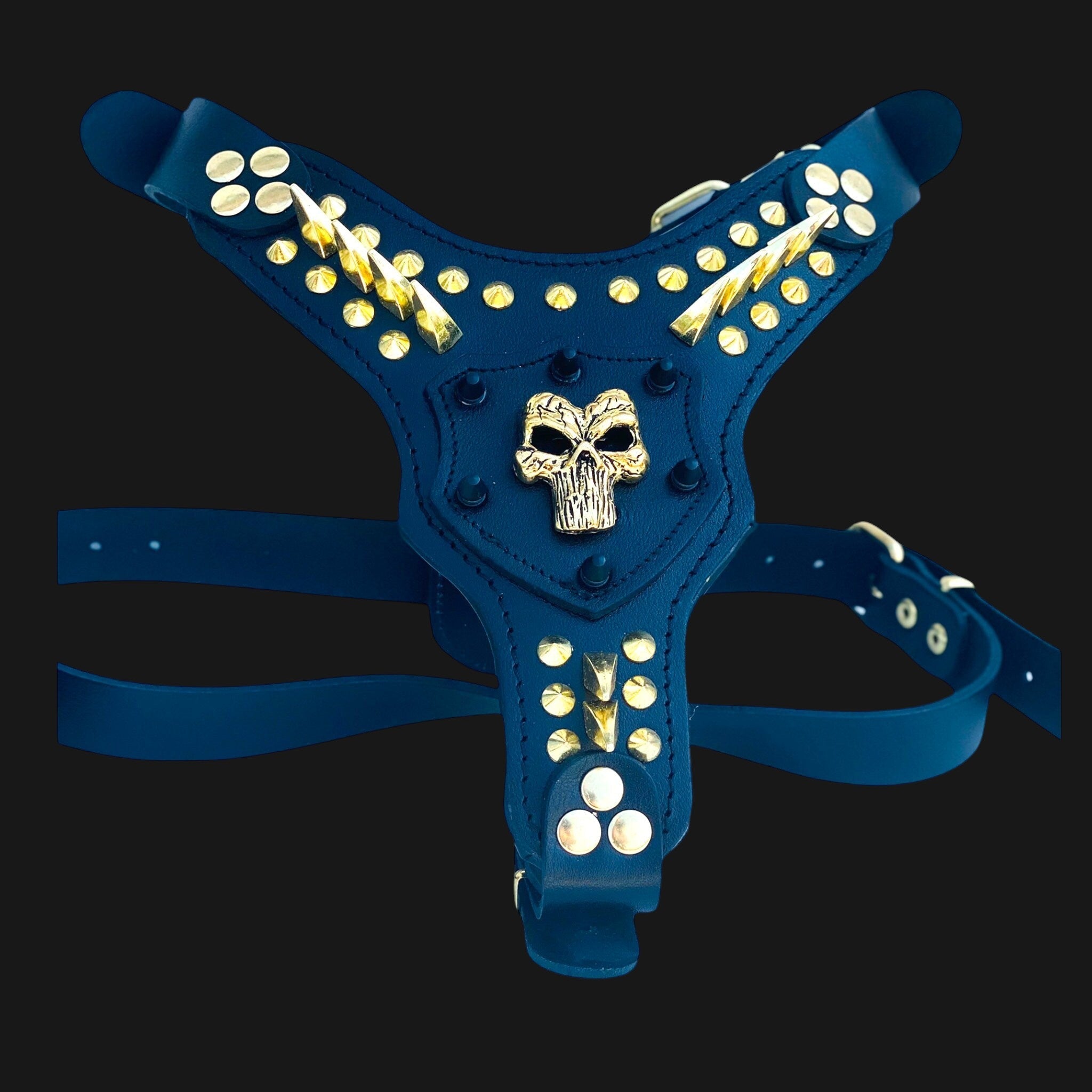 Handmade leather dog harness with custom engraved skull collar by A&C Dog Collars, featuring detailed leather craftsmanship.
