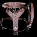 Handmade buffalo leather dog harness set with personalized spiked collar, includes matching dog leash and collar from A&C Dog Collars.