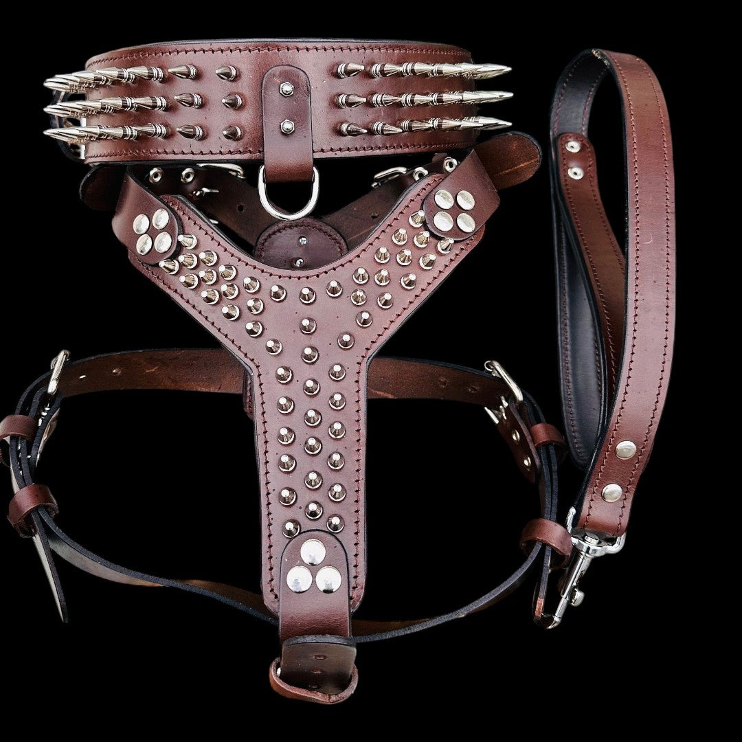 Handmade buffalo leather dog harness set with personalized spiked collar, includes matching dog leash and collar from A&C Dog Collars.