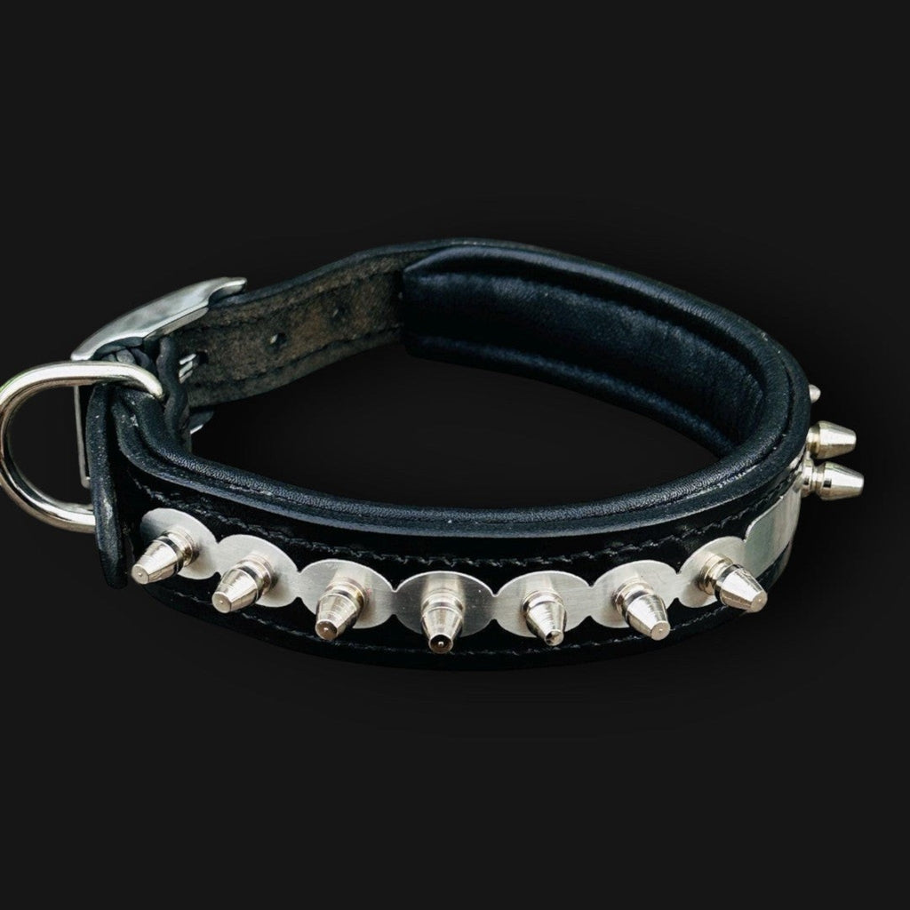 Personalized leather dog collar with engraved custom name tag, handmade by A&C Dog Collars, featuring a secure buckle and stylish design.