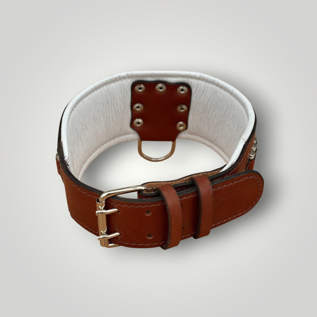 Handmade buffalo leather dog collar with engraved personalized name plate by A&C Dog Collars, featuring sturdy leather and custom engraving.