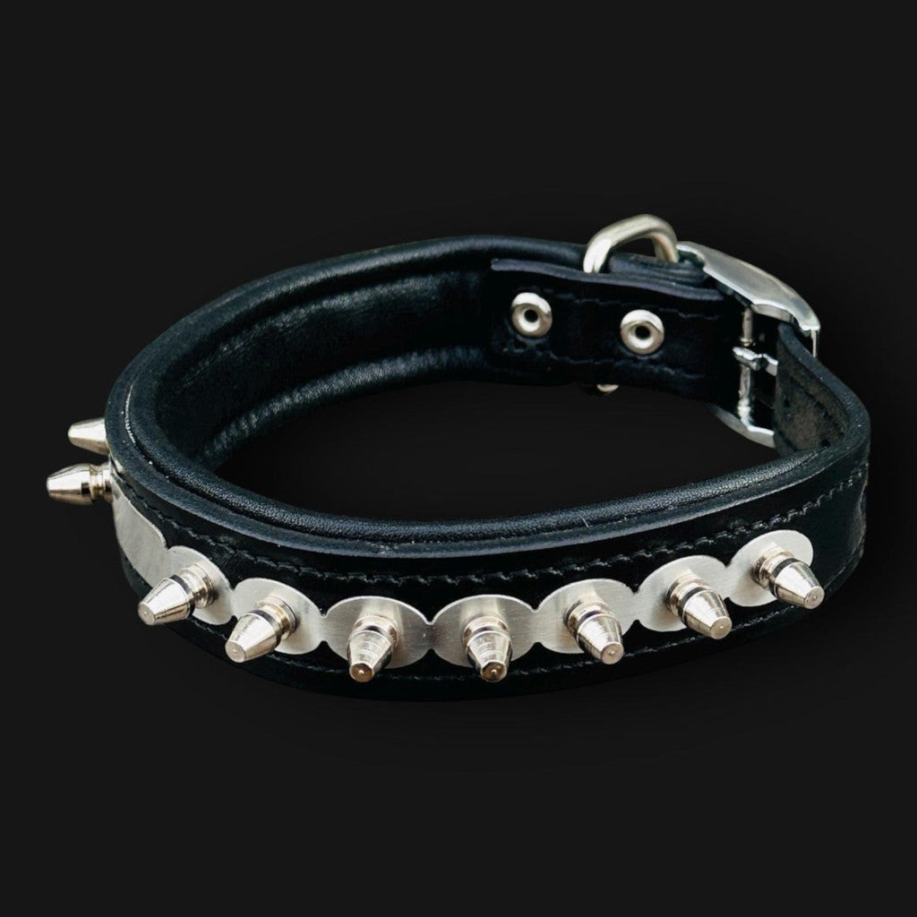 Personalized leather dog collar with engraved name tag, handcrafted by A&C Dog Collars, featuring a durable, stylish design.