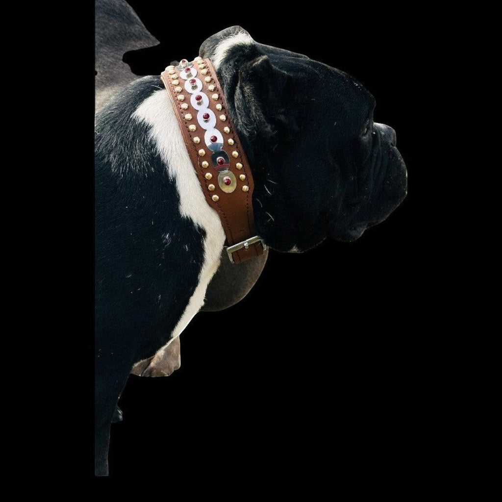 Handcrafted leather dog collar by A&C Dog Collars with sparkling crystals, featuring durable leather and elegant design.