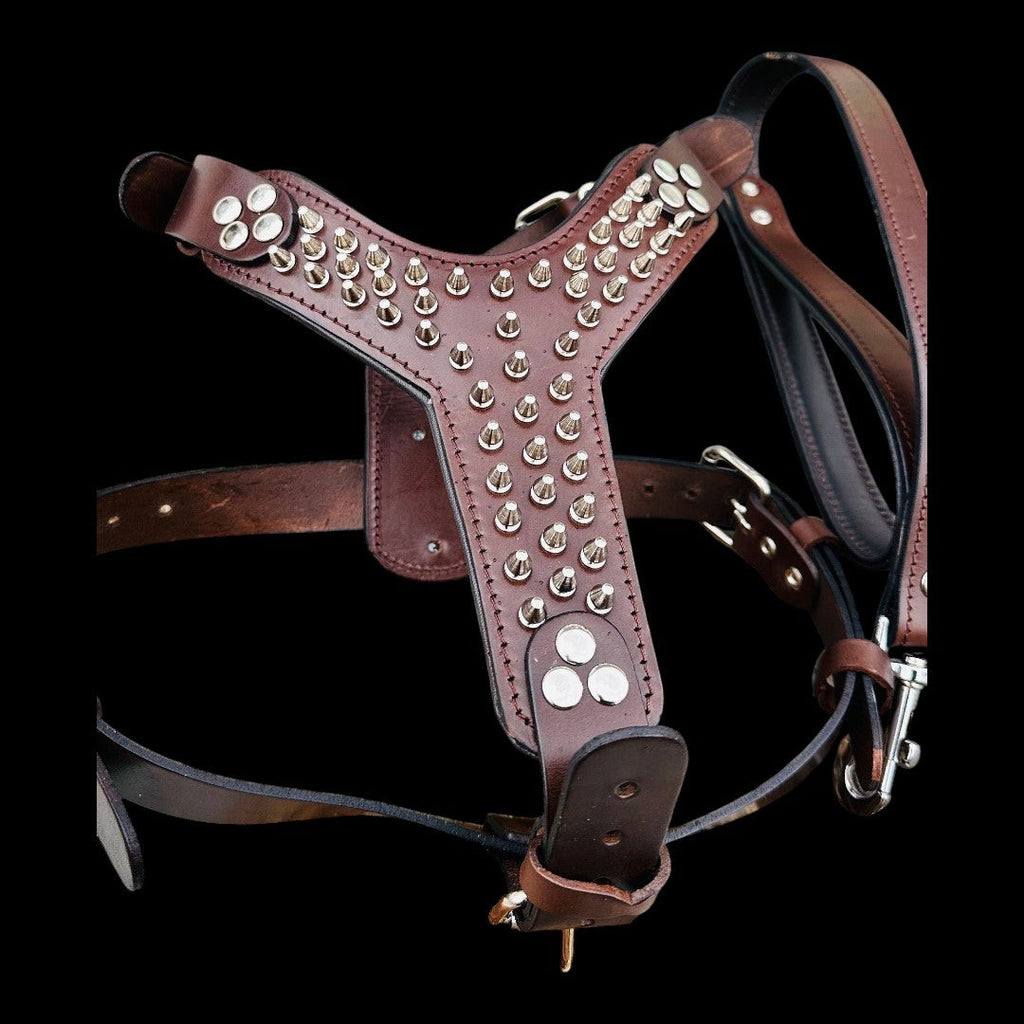 Handmade Buffalo leather dog harness set with personalized spiked collar and matching leash, crafted by A&C Dog Collars.