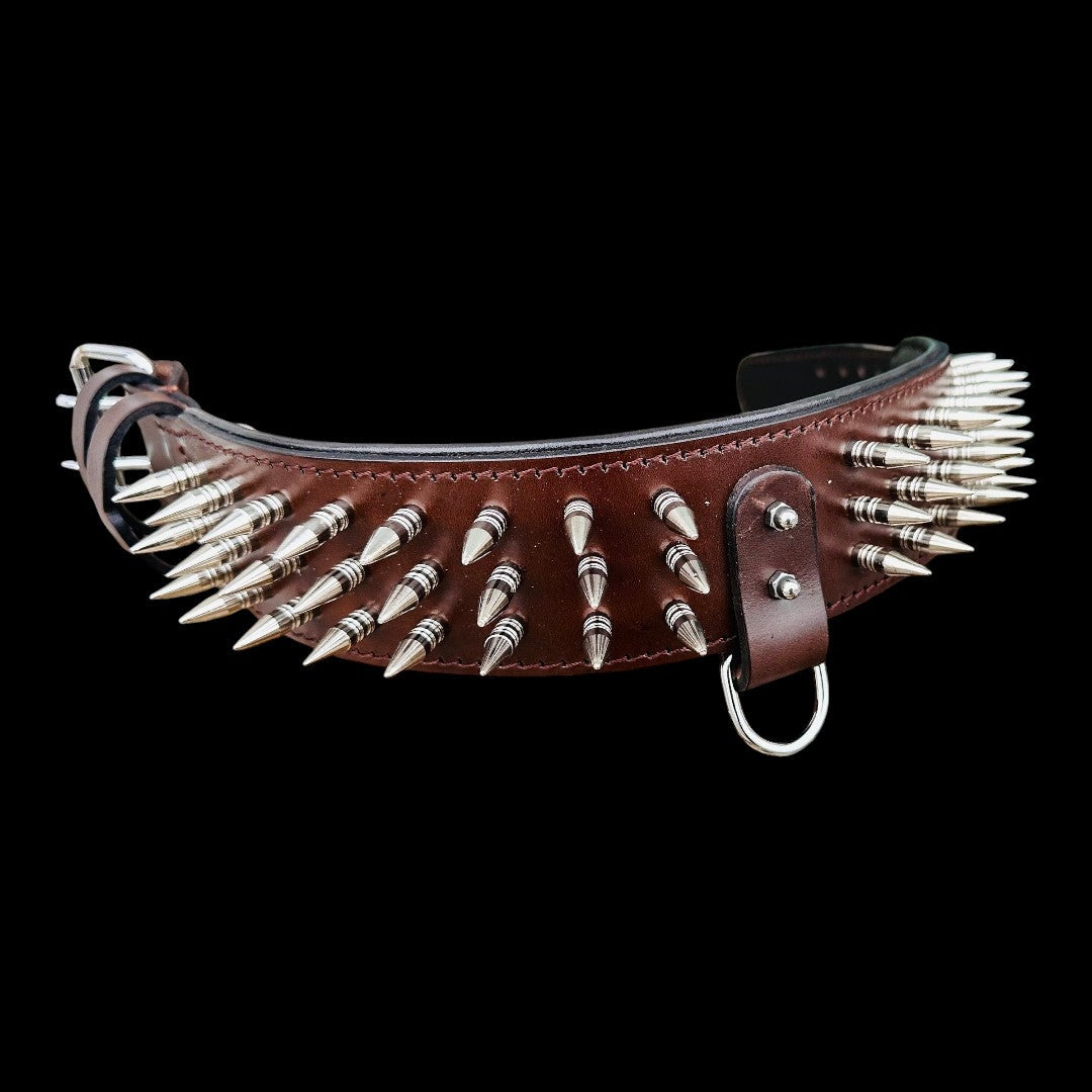 Handmade buffalo leather dog harness set with personalized spiked collar, featuring durable leash and stylish design by A&C Dog Collars.