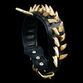 Handmade black leather collar with ivory gold spikes