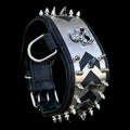 Punisher Warrior Steel Dog Collar - A&C Dog Collars