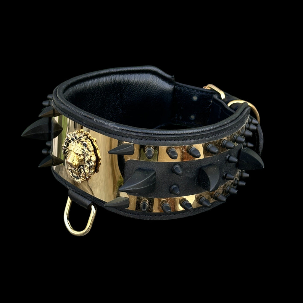 Gladiator-style collar for Cane Corso and Rottweiler