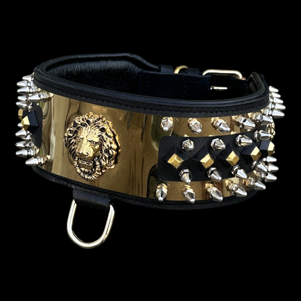 Wide gold-plated dog collar for Malinois
