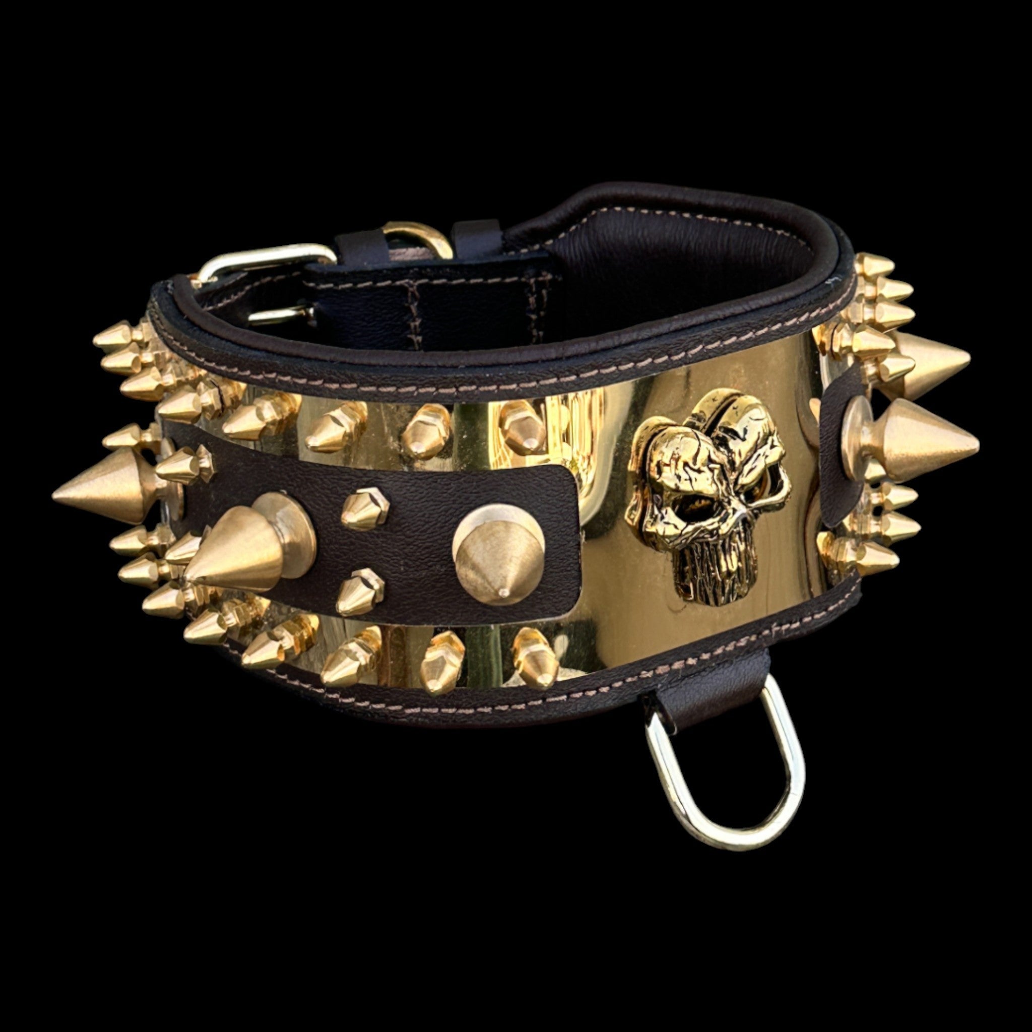 Golden Punisher Elite Dog Collar - A&C Dog Collars