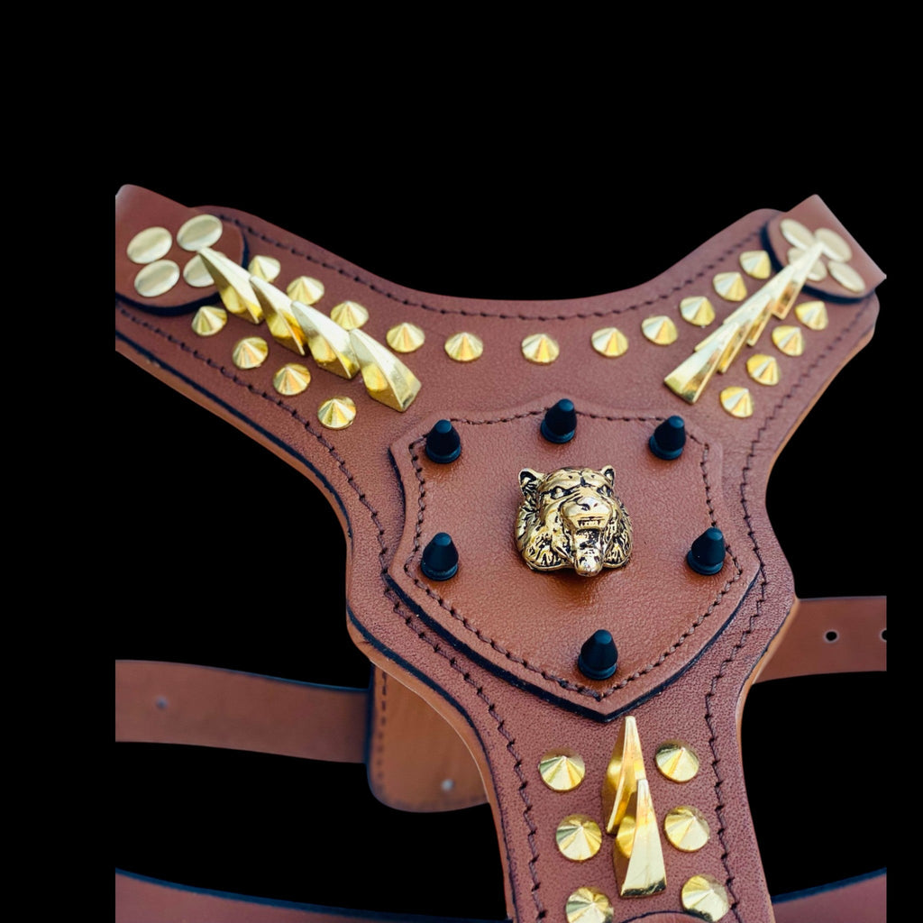 Luxury chest harness with golden spikes and lion emblem for Cane Corso