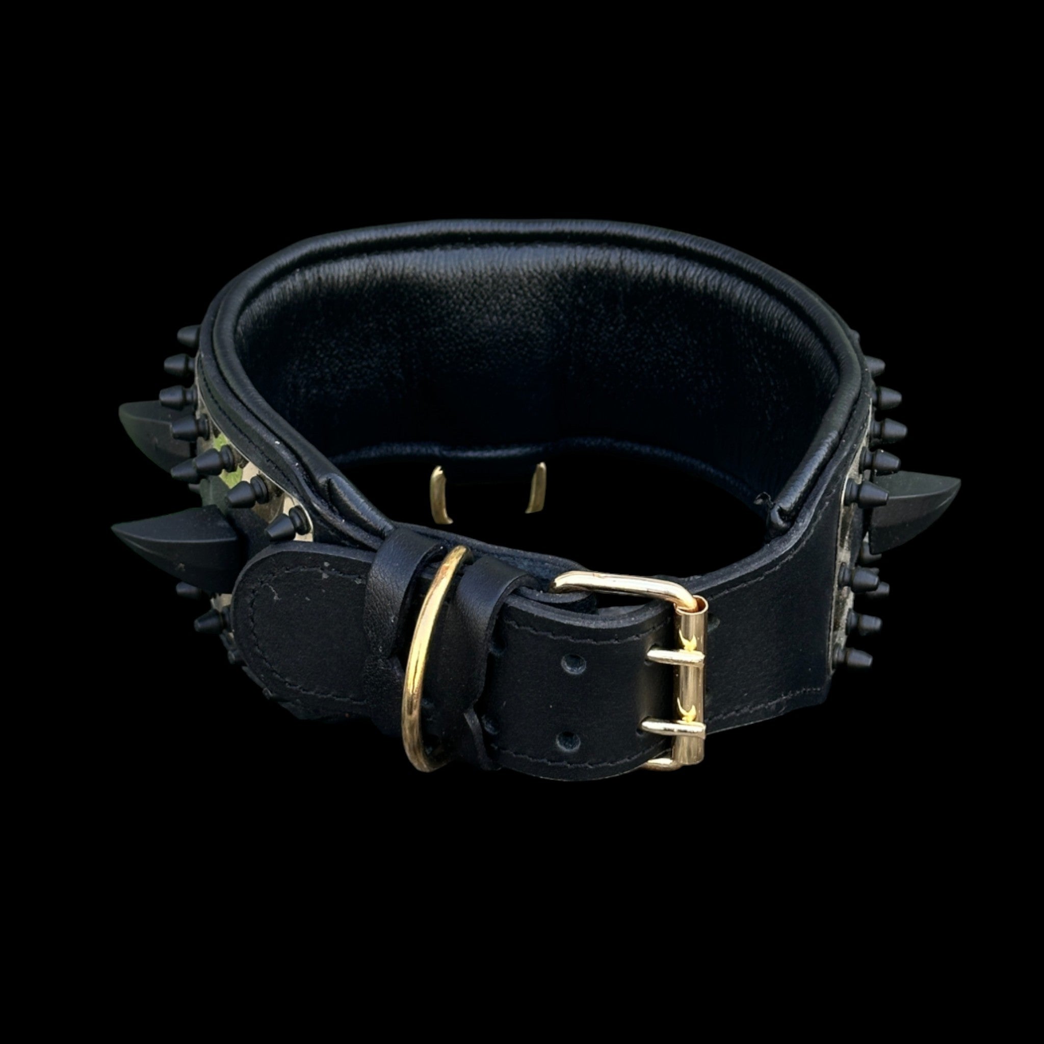 Premium gold lion logo dog collar for K9 training