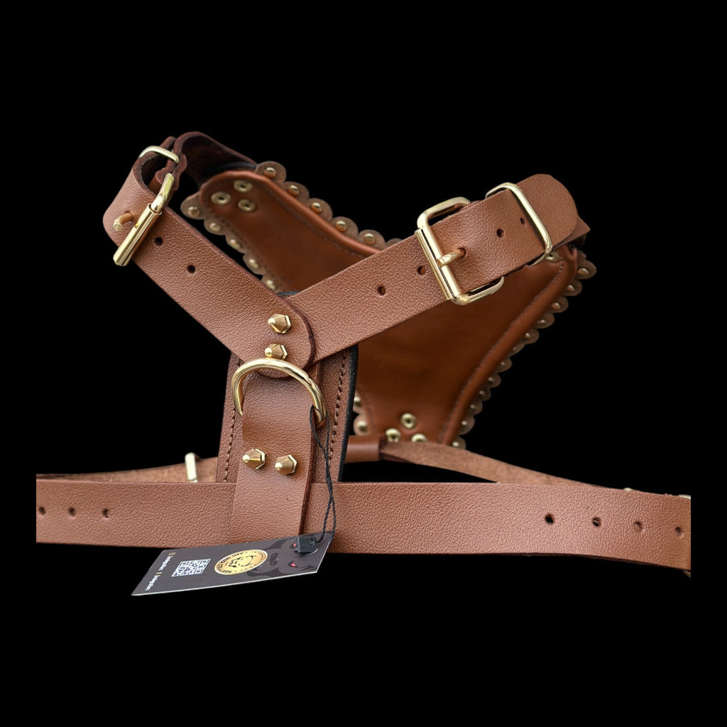 Luxury Handmade Brown Leather Dog Chest Harness with Gold Steel Plate, Bully Head & Lion Logo – Perfect for Cane Corso, Rottweiler, Kangal, Doberman, Bully, Malinois & Large Breeds - A&C Dog Collars