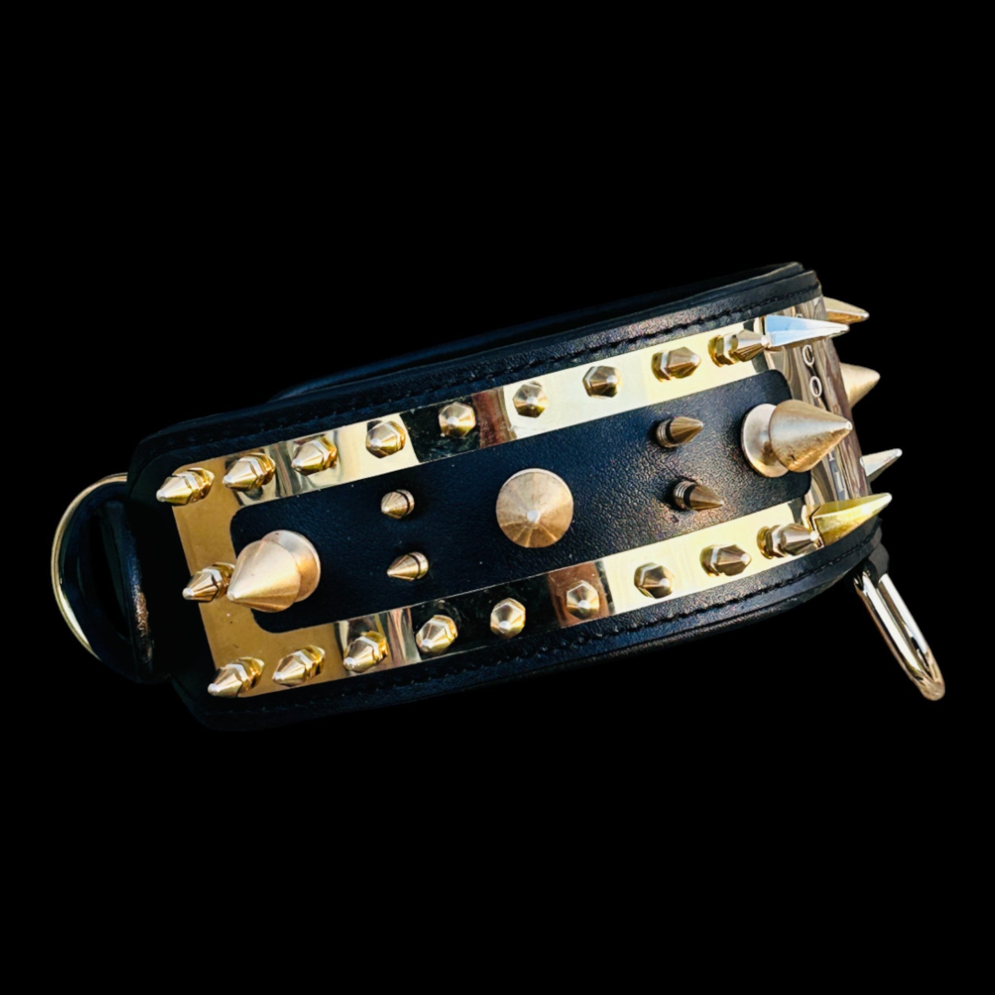 Scorpio Set Laser Photo Spike Collar & Leash - A&C Dog Collars