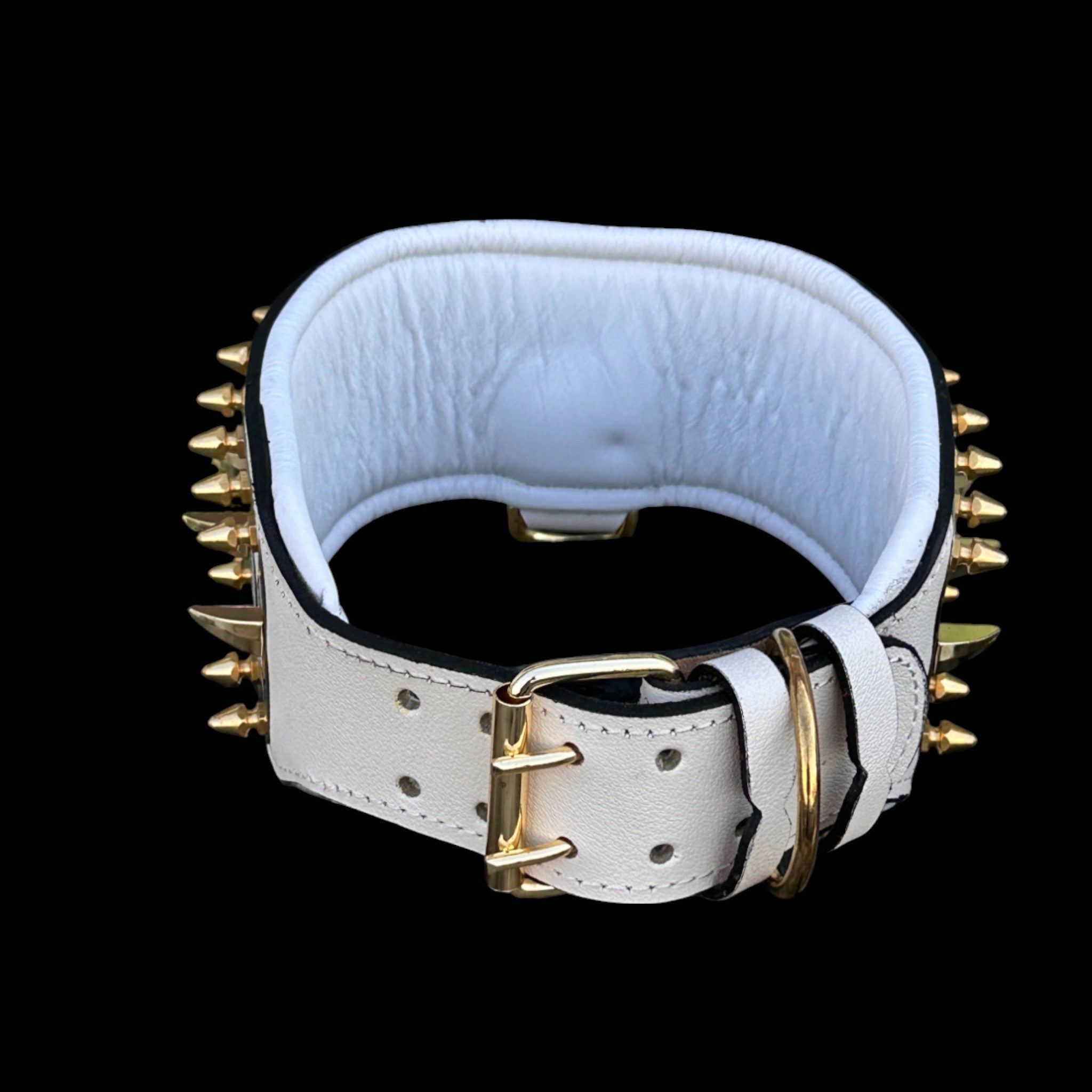 Punisher Power Dog Collar - A&C Dog Collars