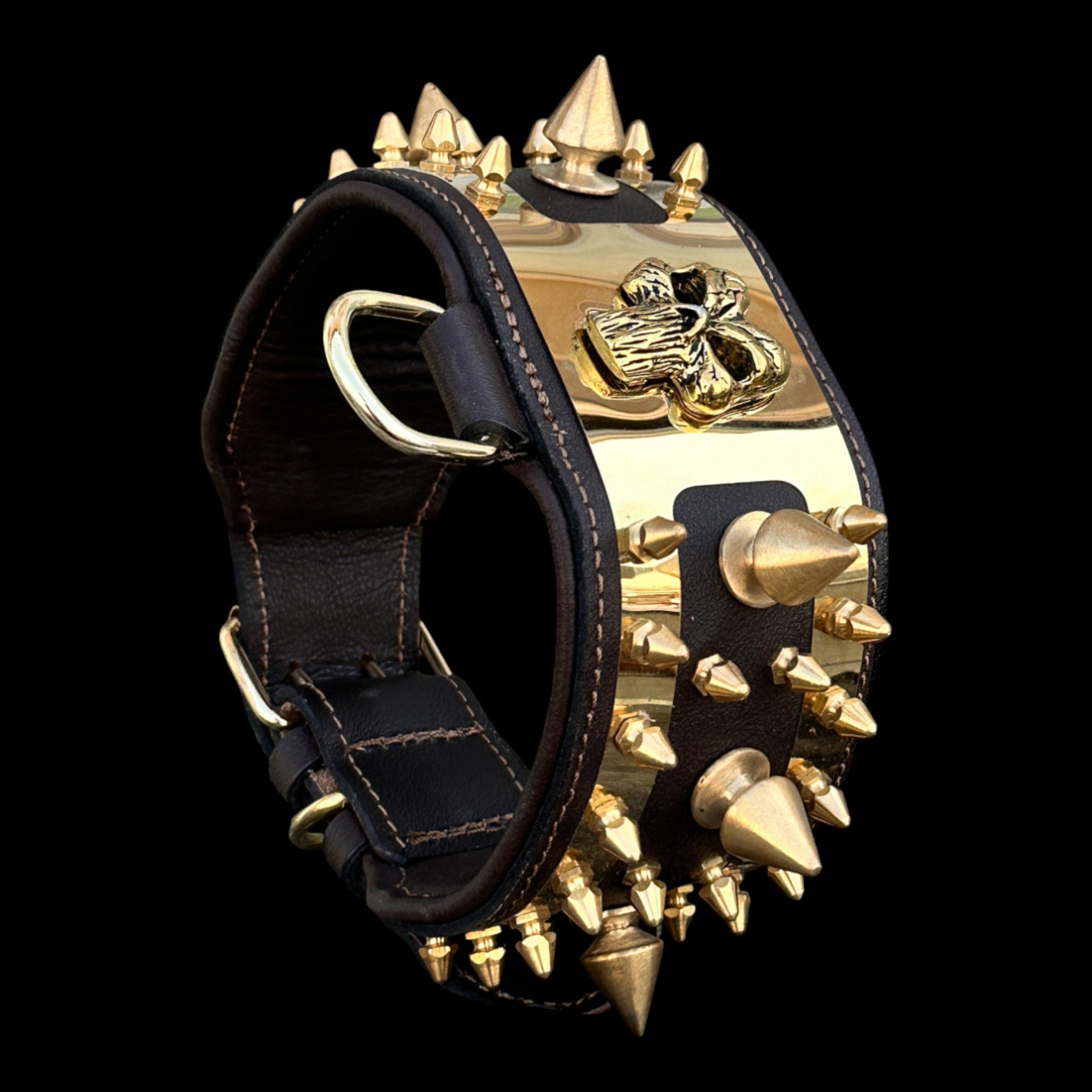 Golden Punisher Elite Dog Collar - A&C Dog Collars